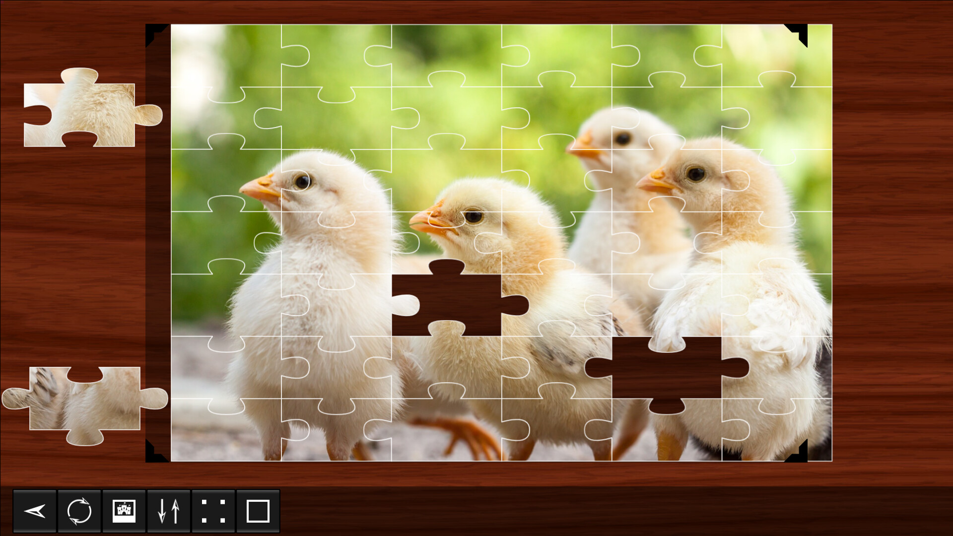 Jigsaw Puzzle World