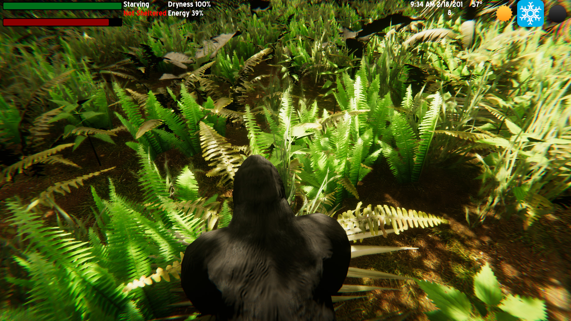 The Lonely Gorilla