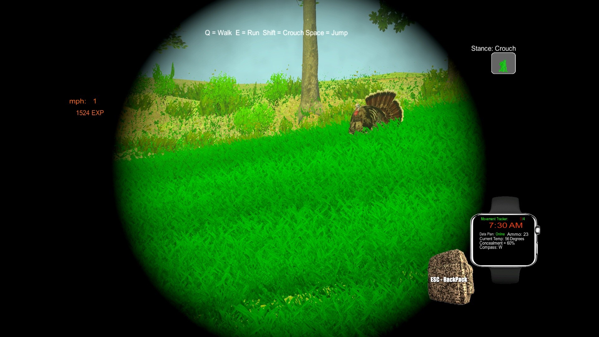 Turkey Hunting - The Season