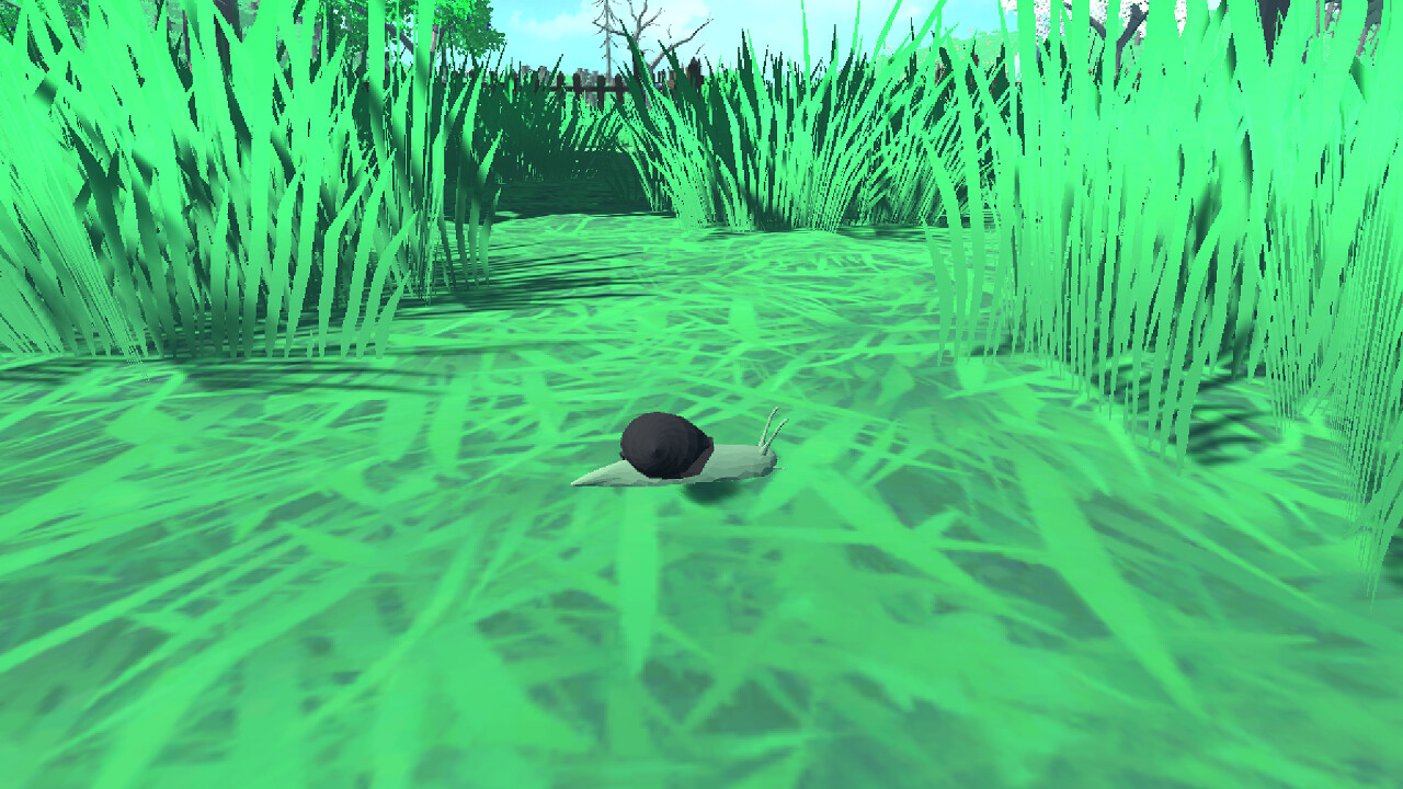 Snail Simulator