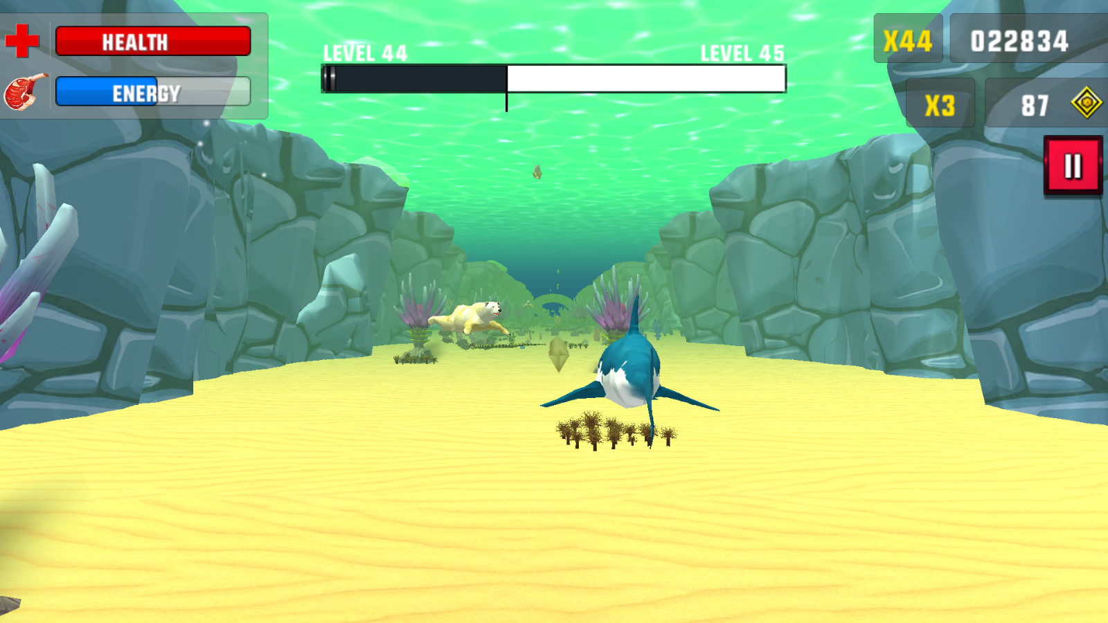 Shark Attack