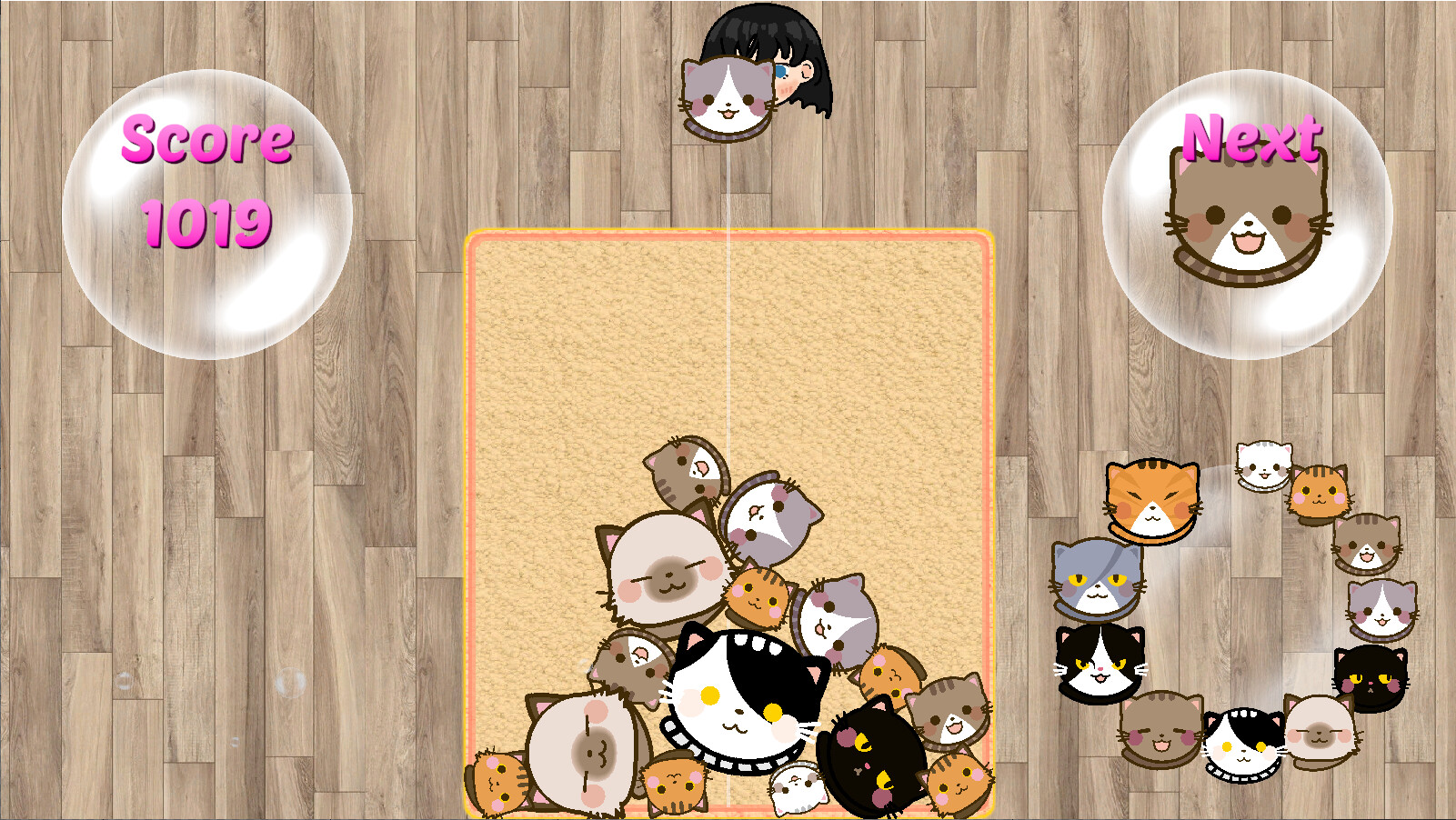 SuiCats