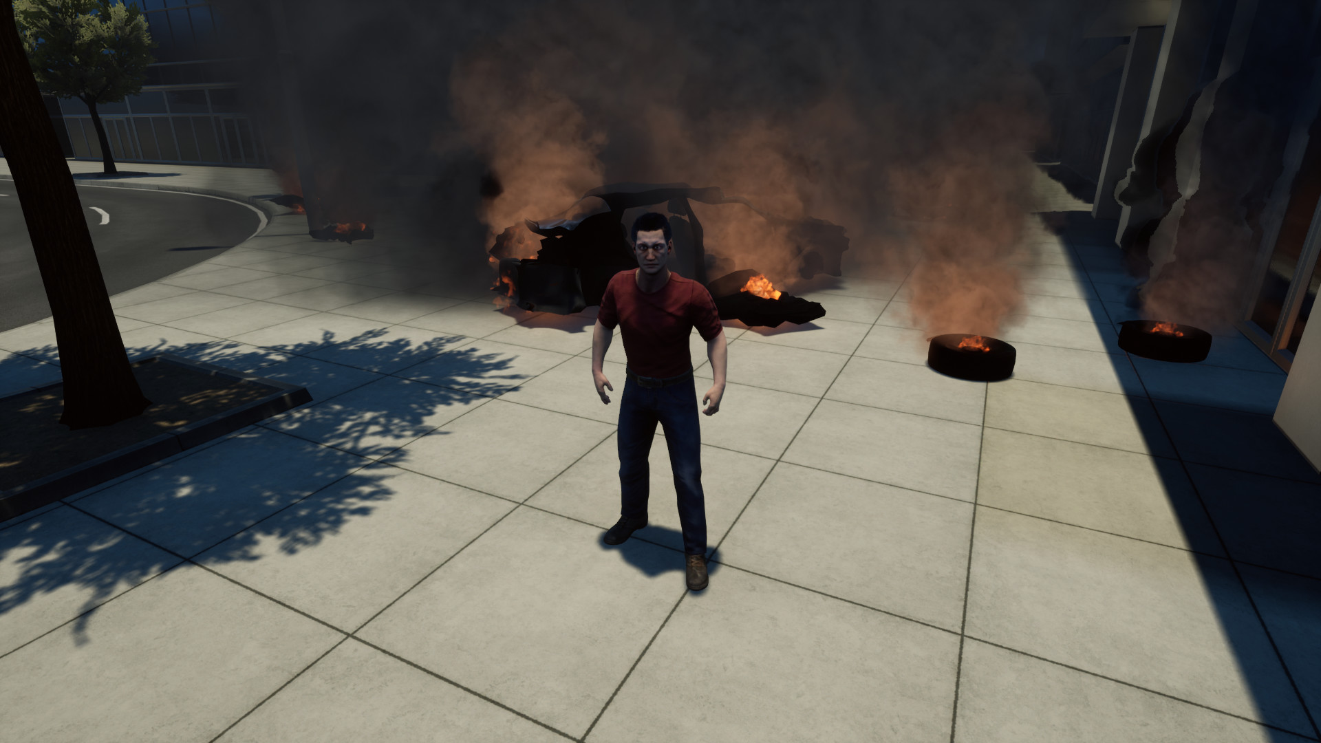 CRASH TEST IDIOT