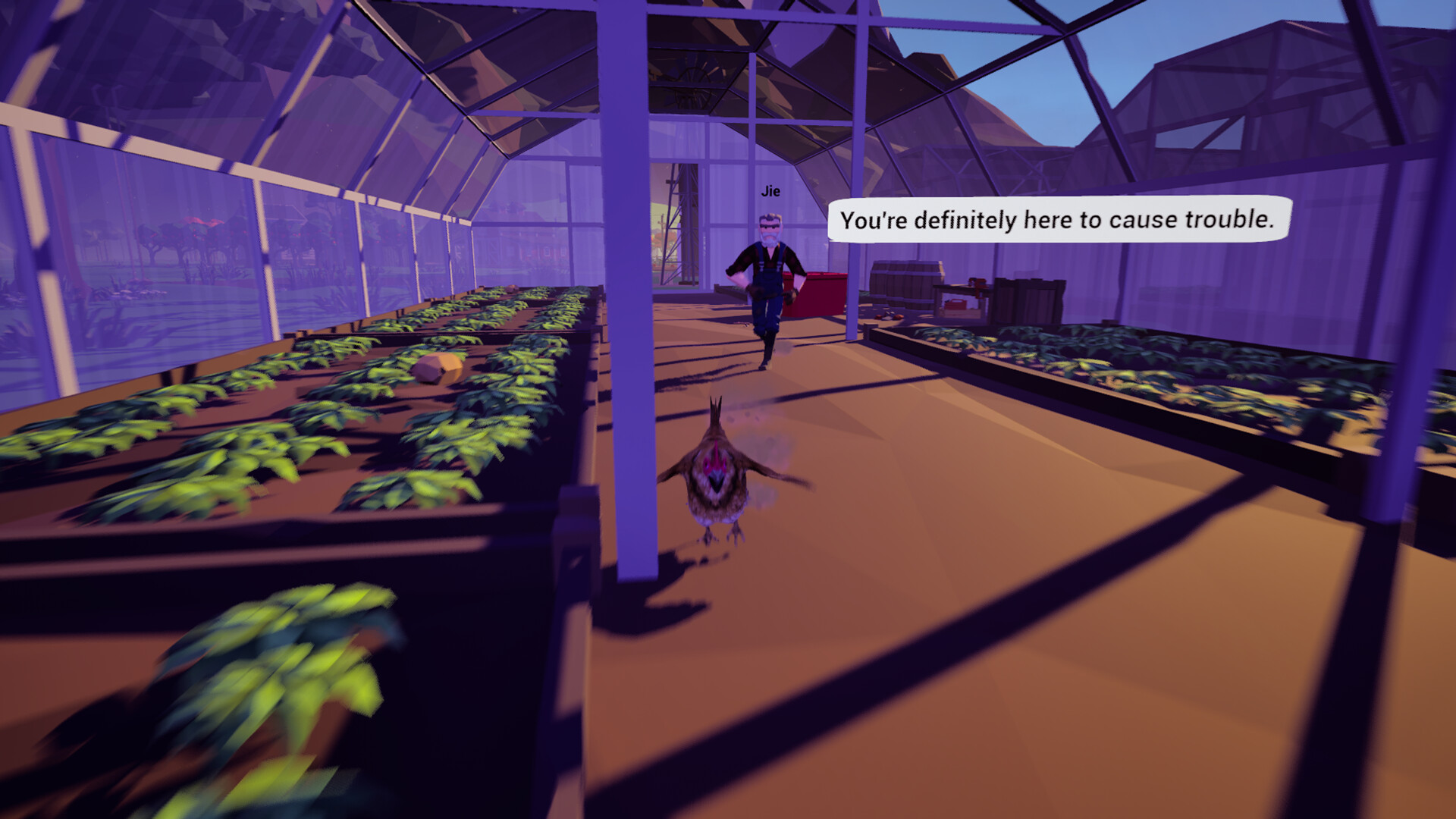 Farm Chicken