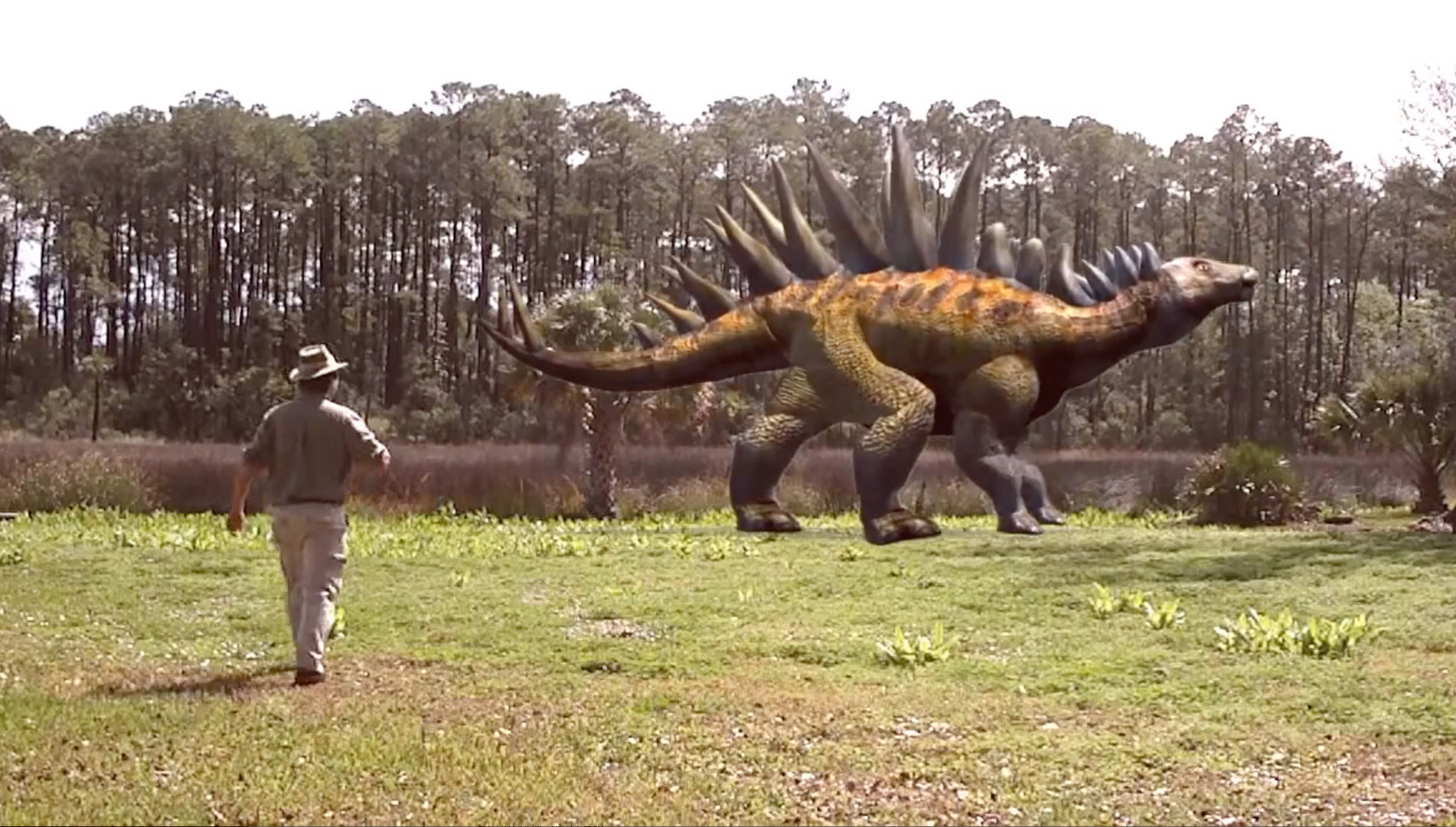 Dinosaur Zoo