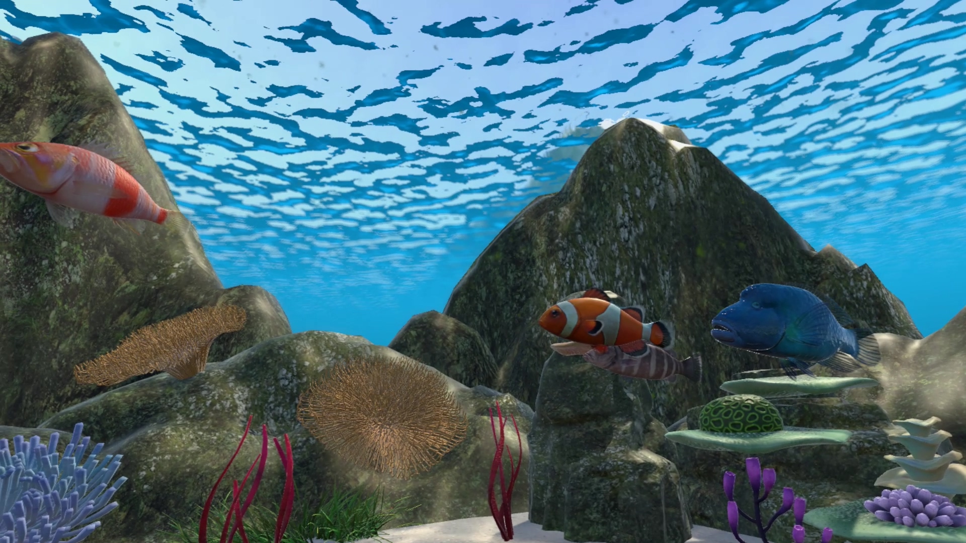 Real Fishing VR