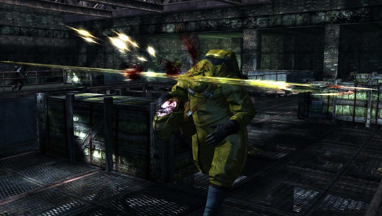 Dark Sector