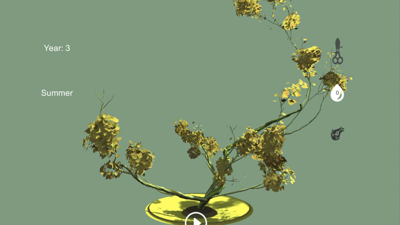 Tree Bonsai