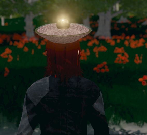 Hide and Seek - Chinese Hat