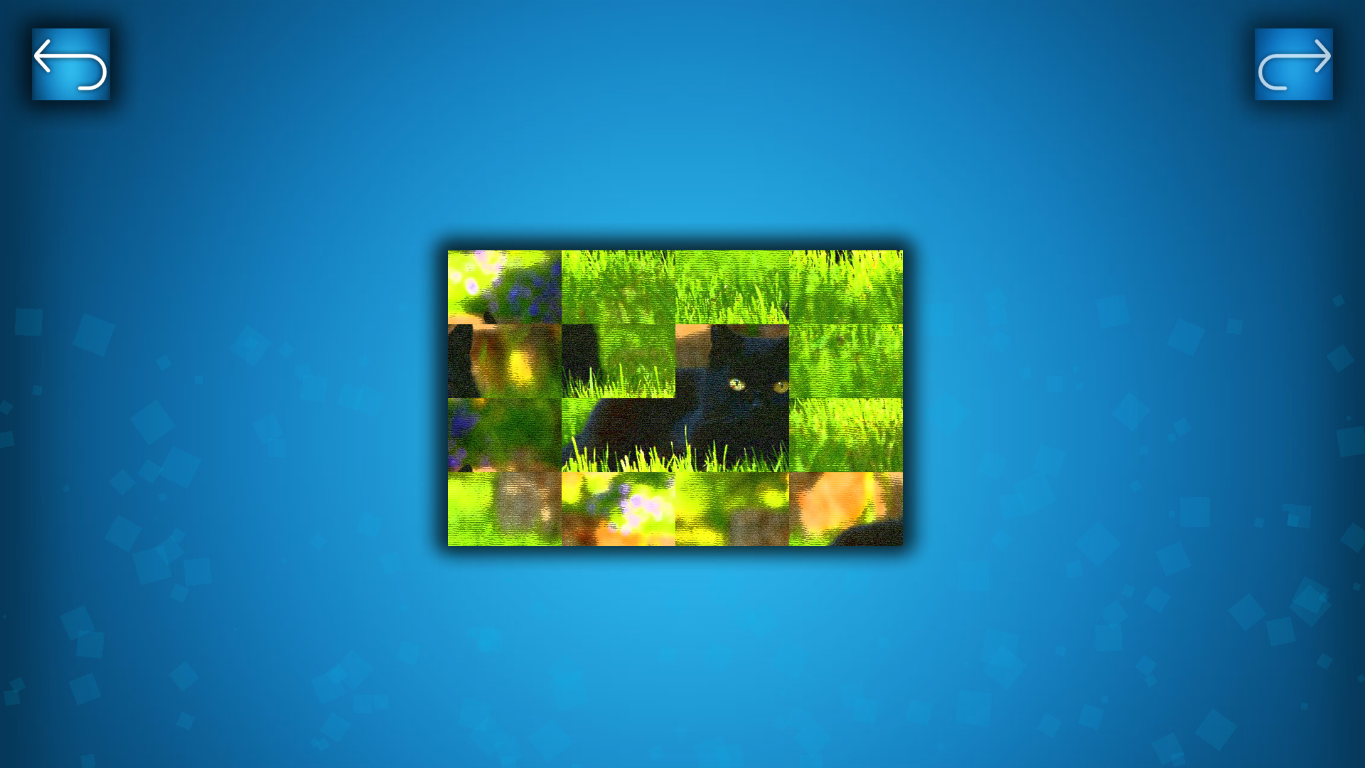 PUZZLE: CATS & DOGS - Puzzle Pack: Summer Cats