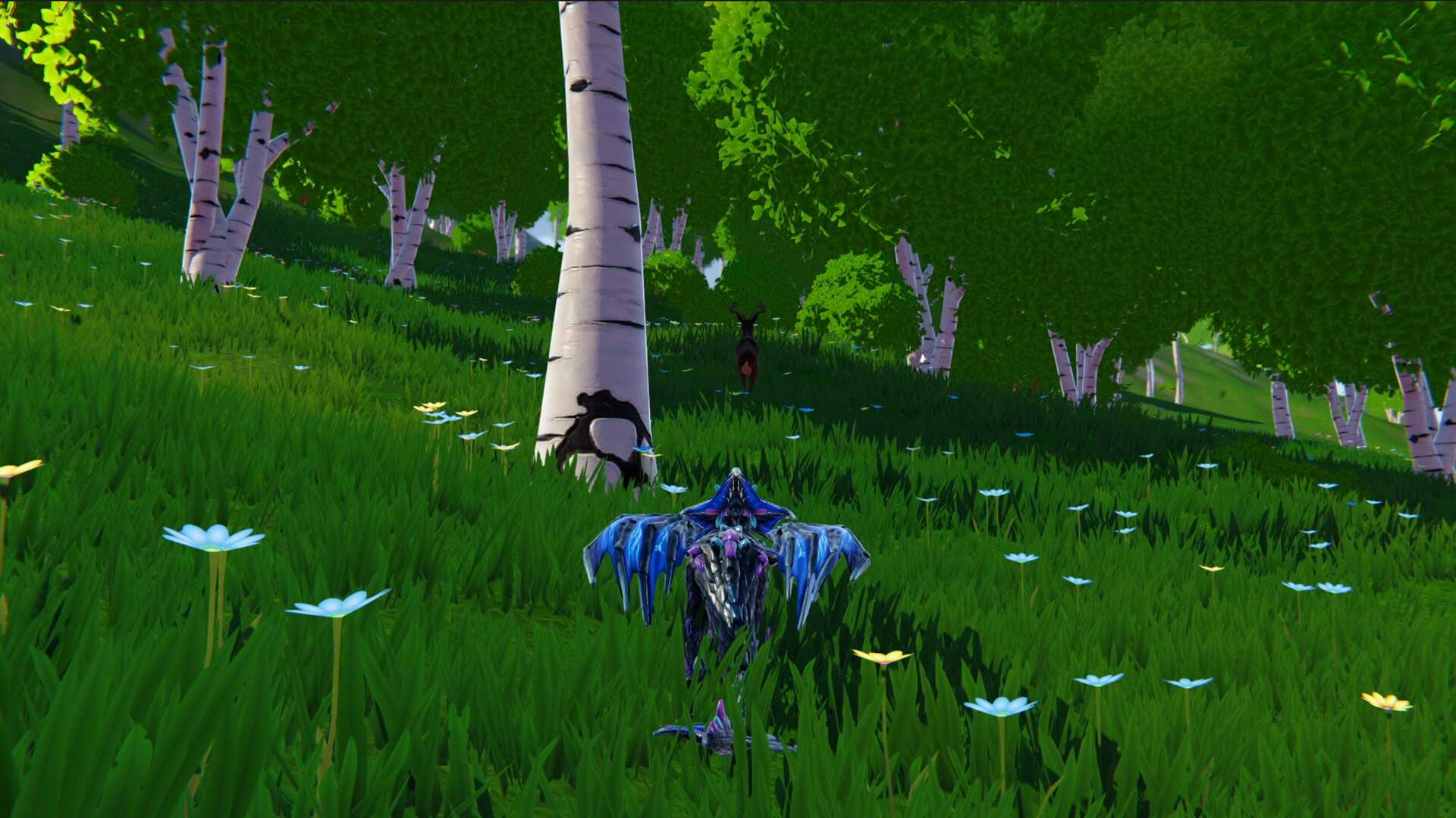 Dragons and Nature