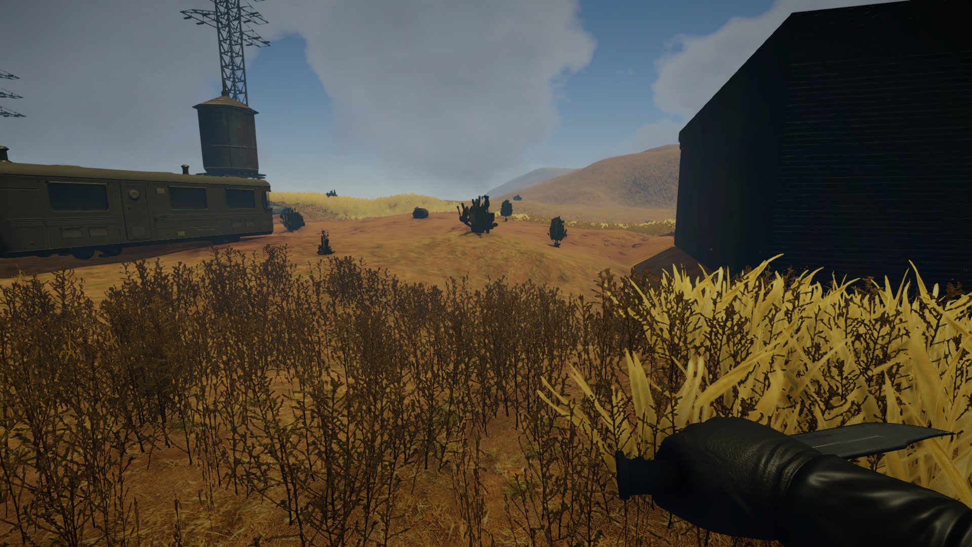 Survival Hell