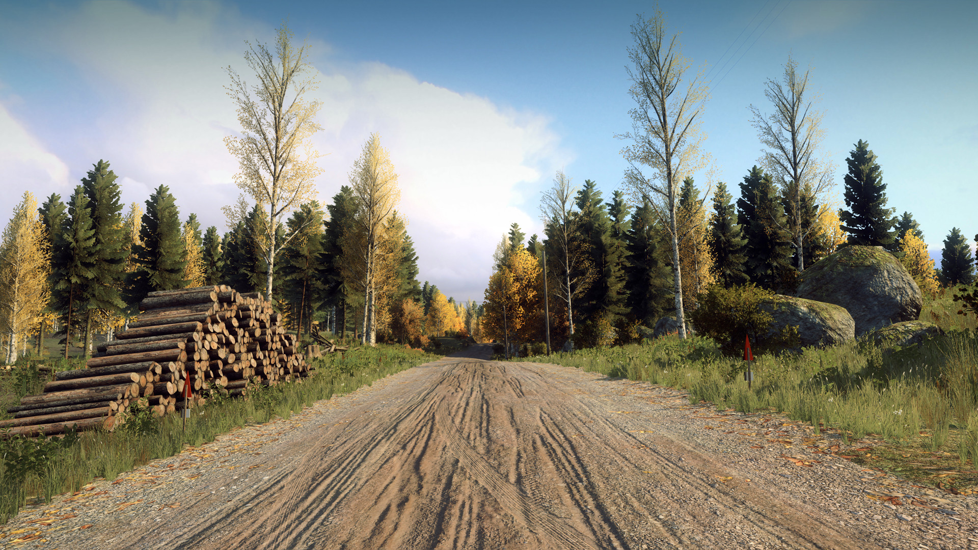 DiRT Rally 2.0 - Finland (Rally Location)