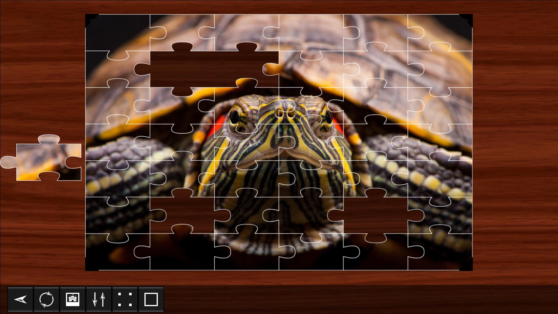 Jigsaw Puzzle World - Reptiles 2