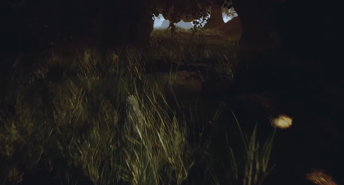 The Phantom Forest