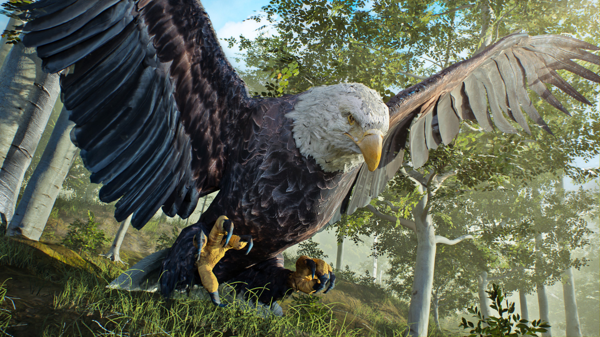 Birding Simulator Demo