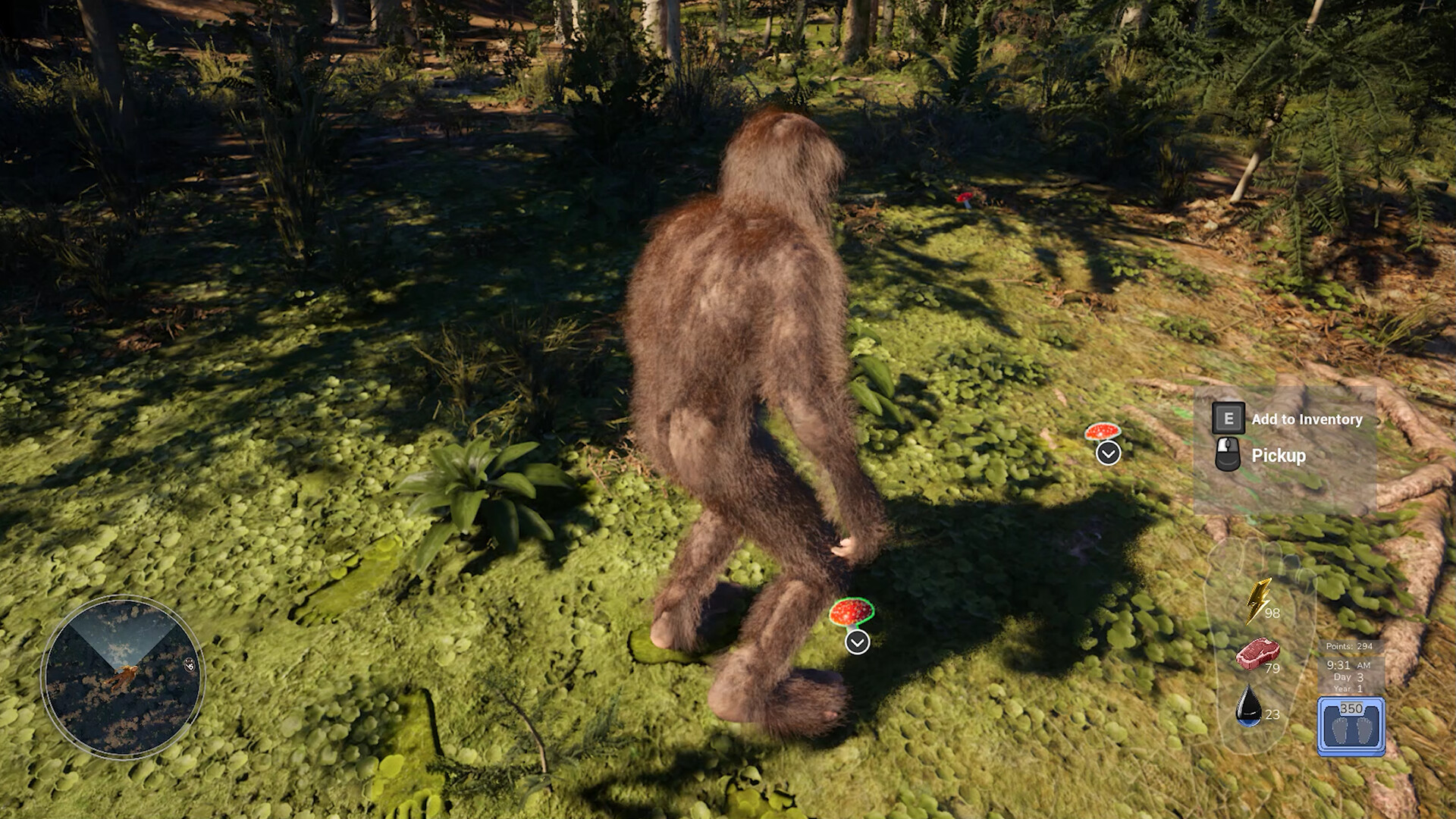 Bigfoot Life