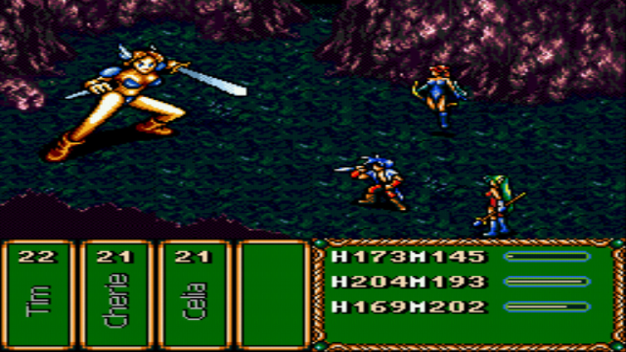 Brave Battle Saga - The Legend of The Magic Warrior