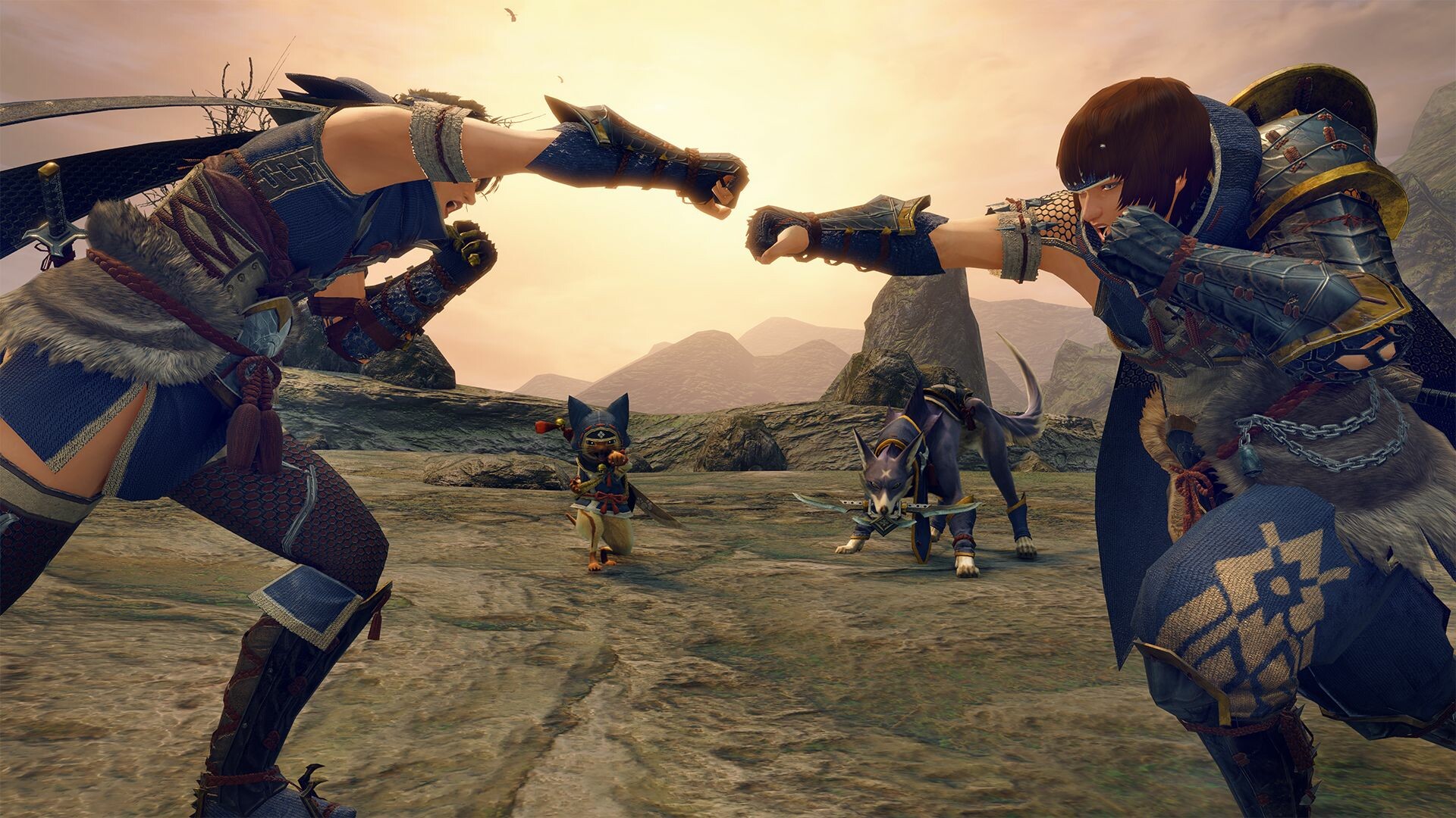 Monster Hunter Rise - 