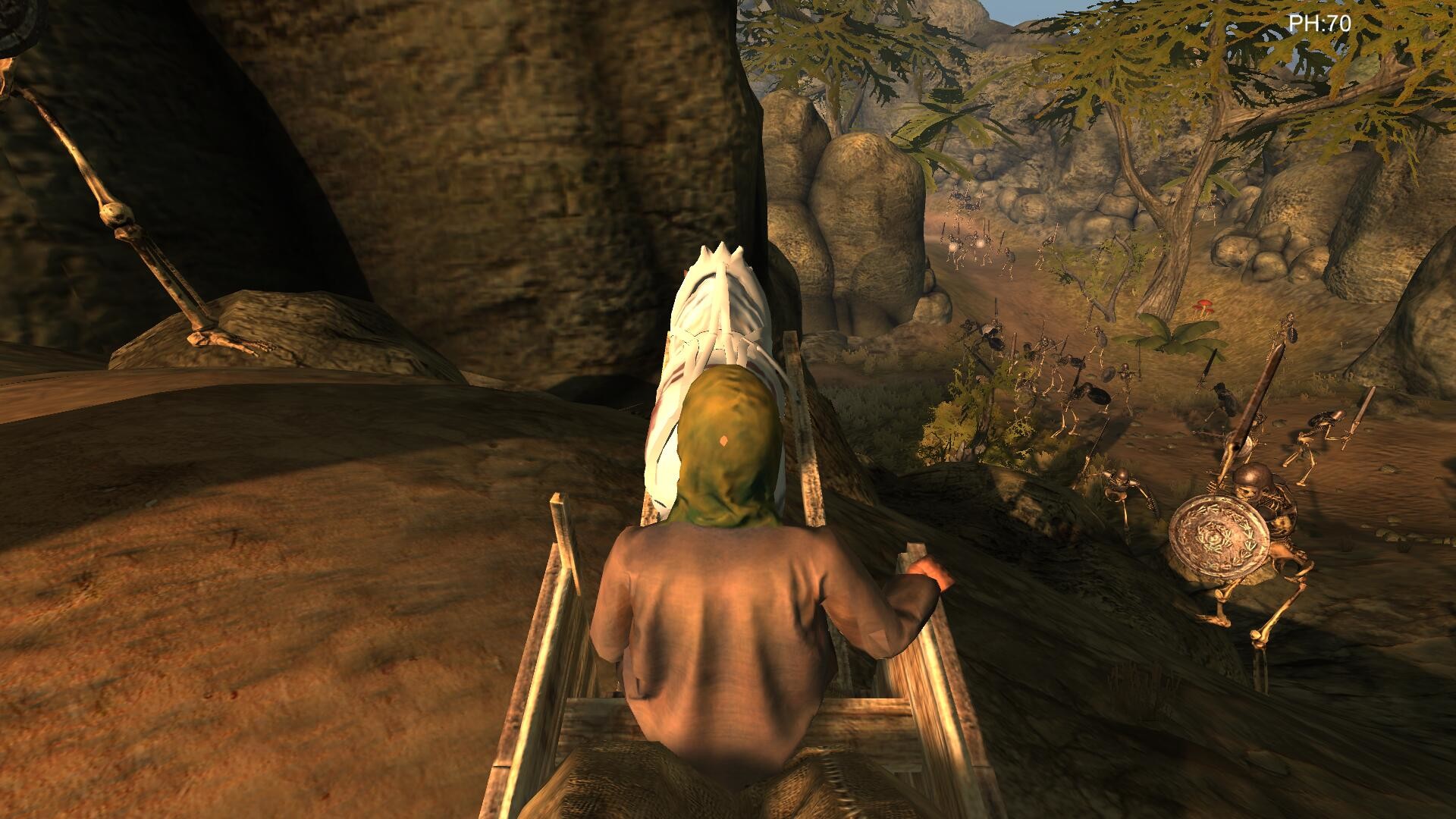 Desert coachman