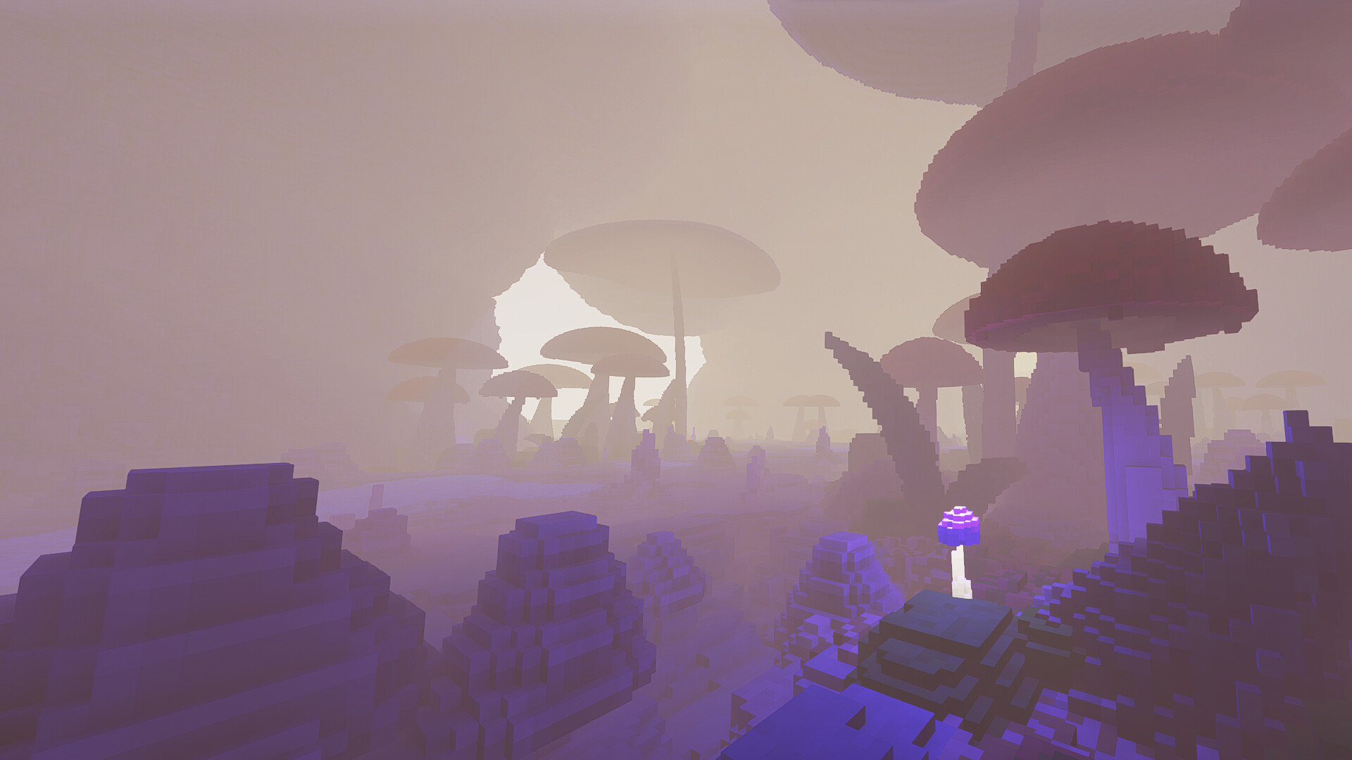 Isotopia