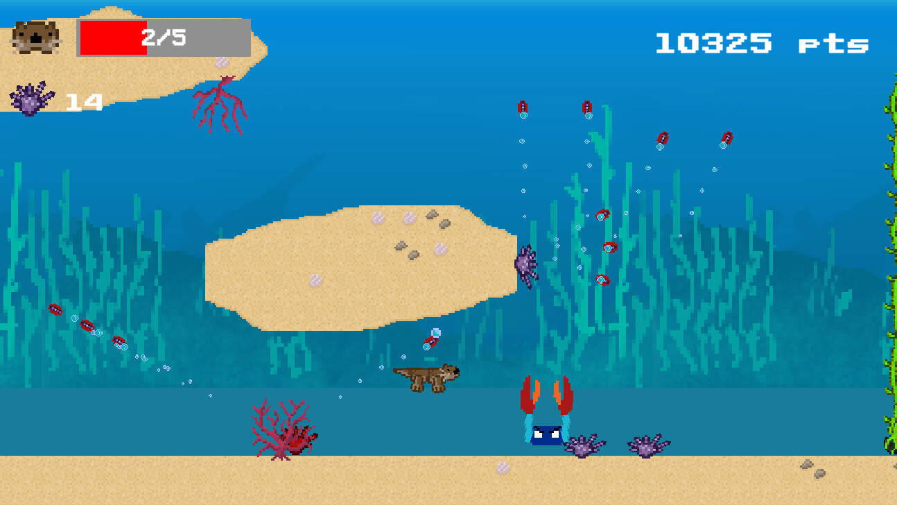 Kelp Keeper