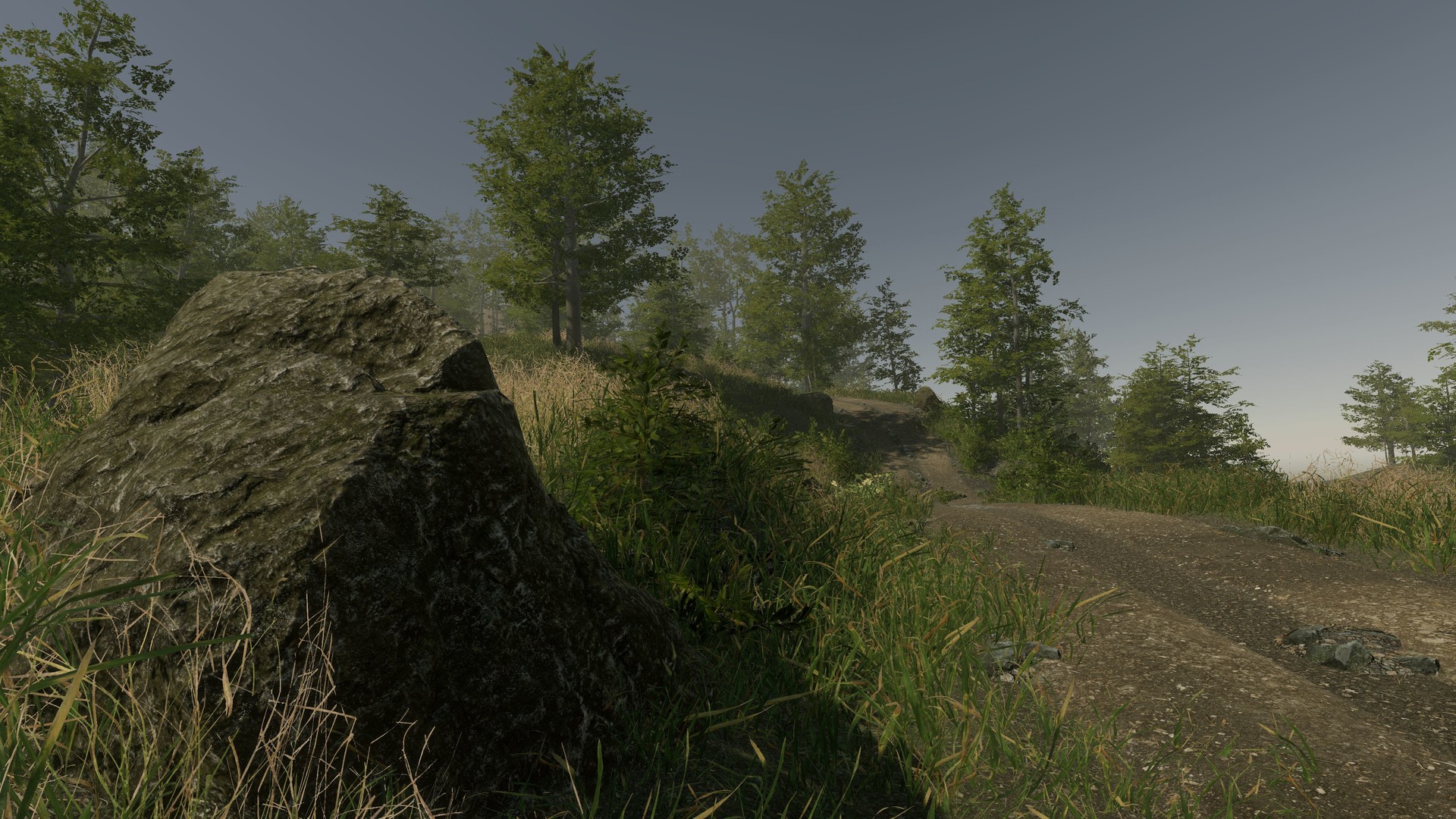 VR Walking Simulator