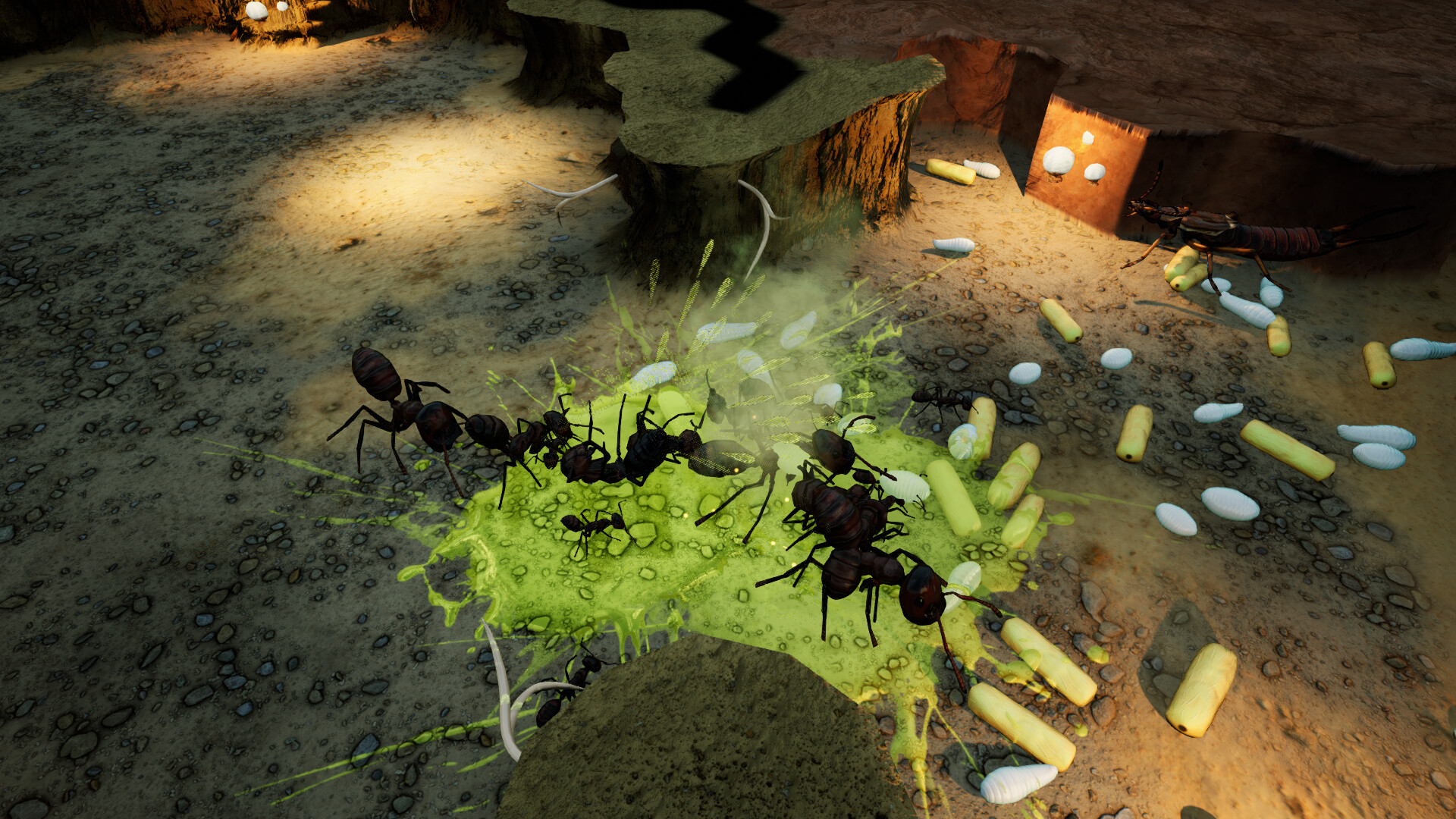 Empires of the Undergrowth - Exploding Ants