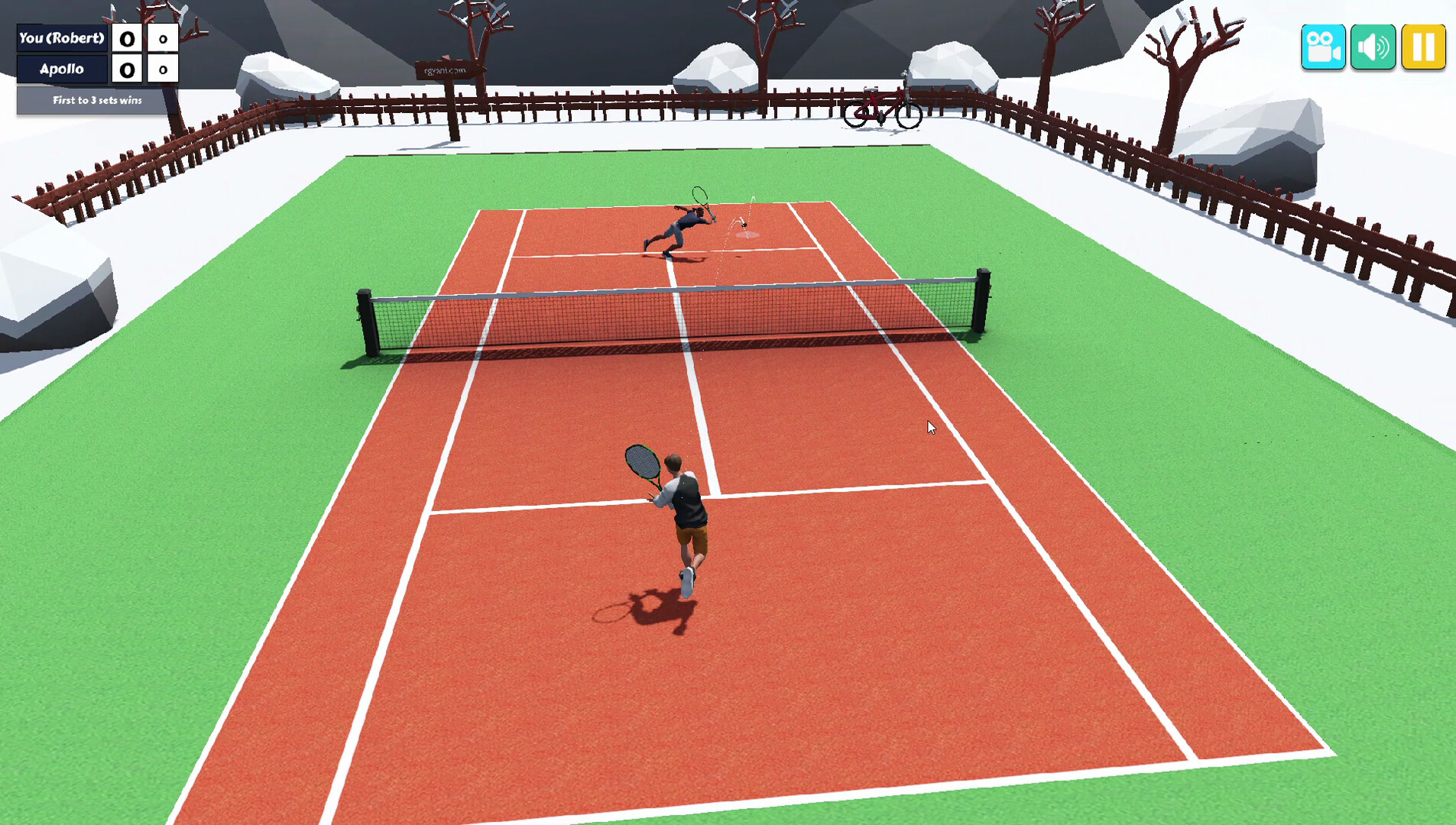 Toonie Tennis