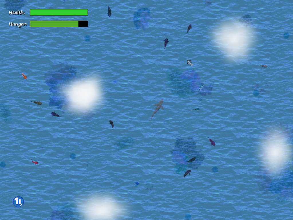 Open Ocean