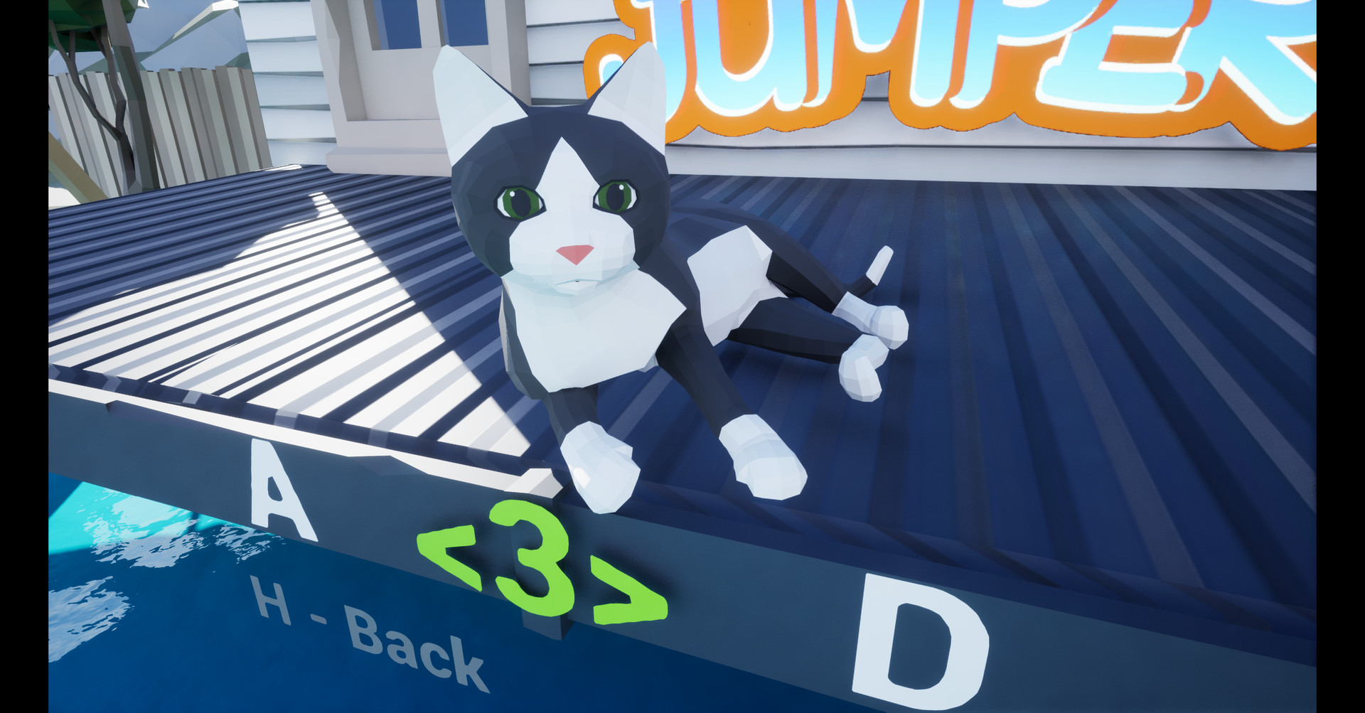 Cat Jumper