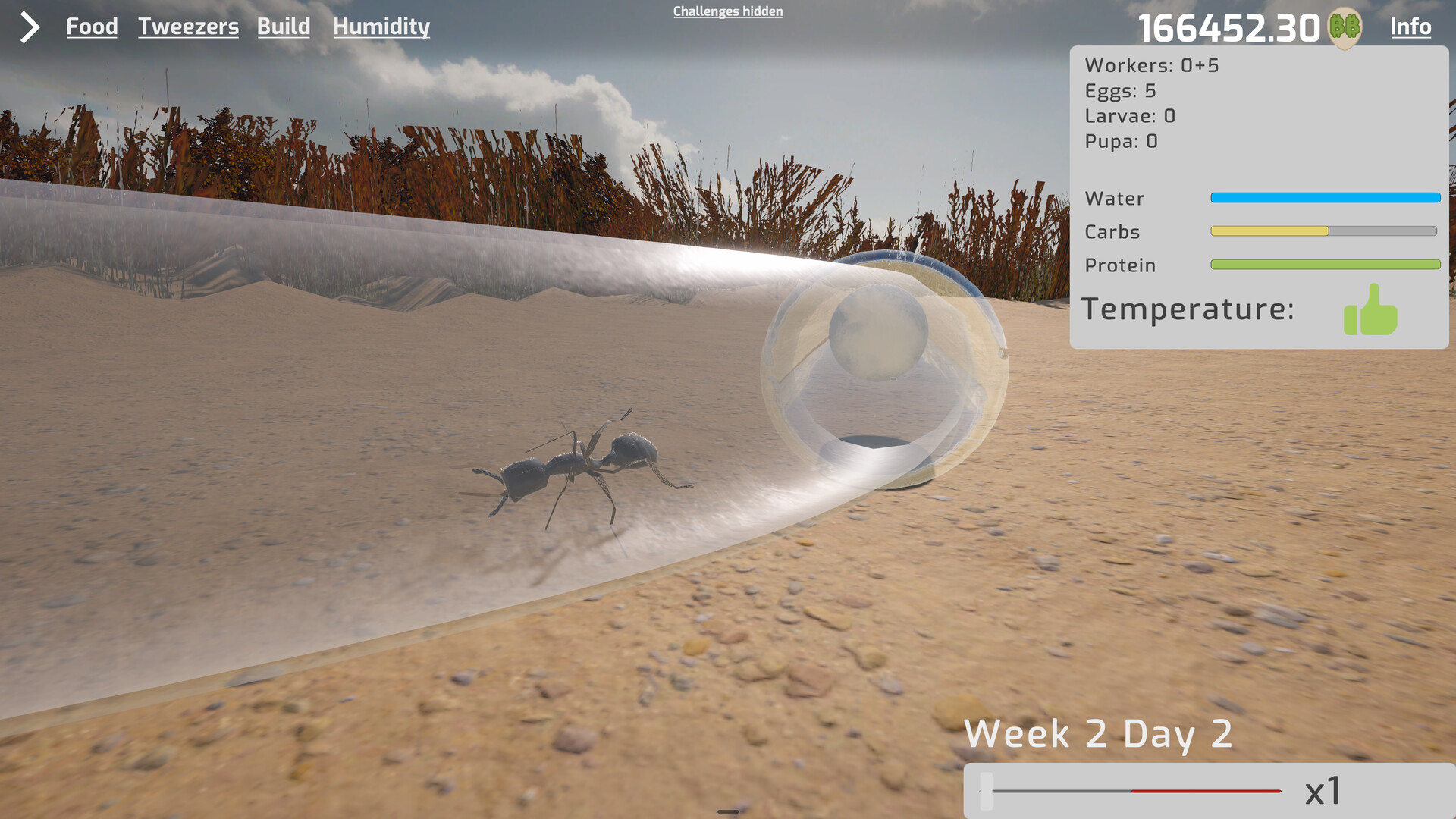 Ant Keeping Simulator - Species Pack 1