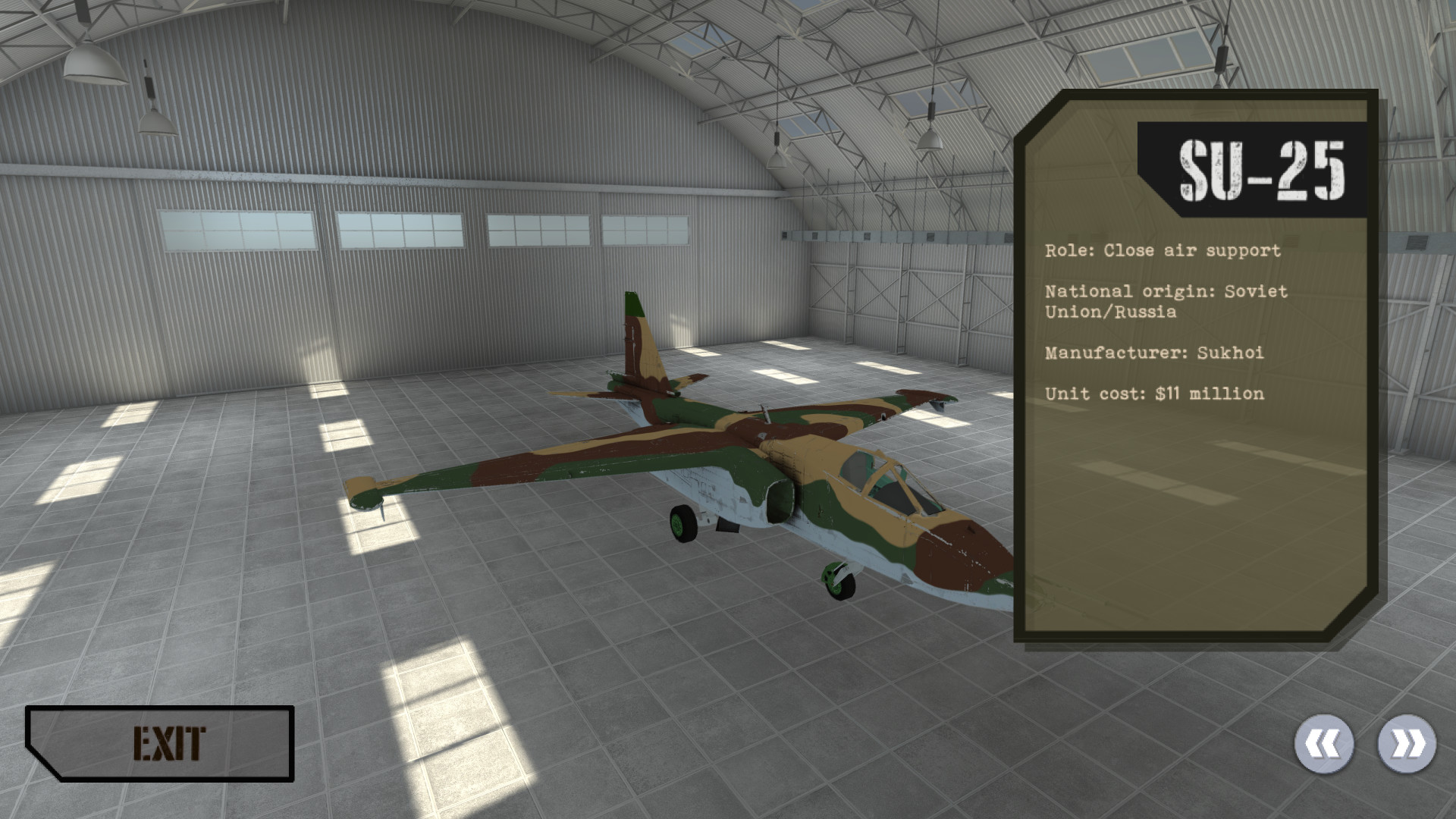 Air Combat Arena