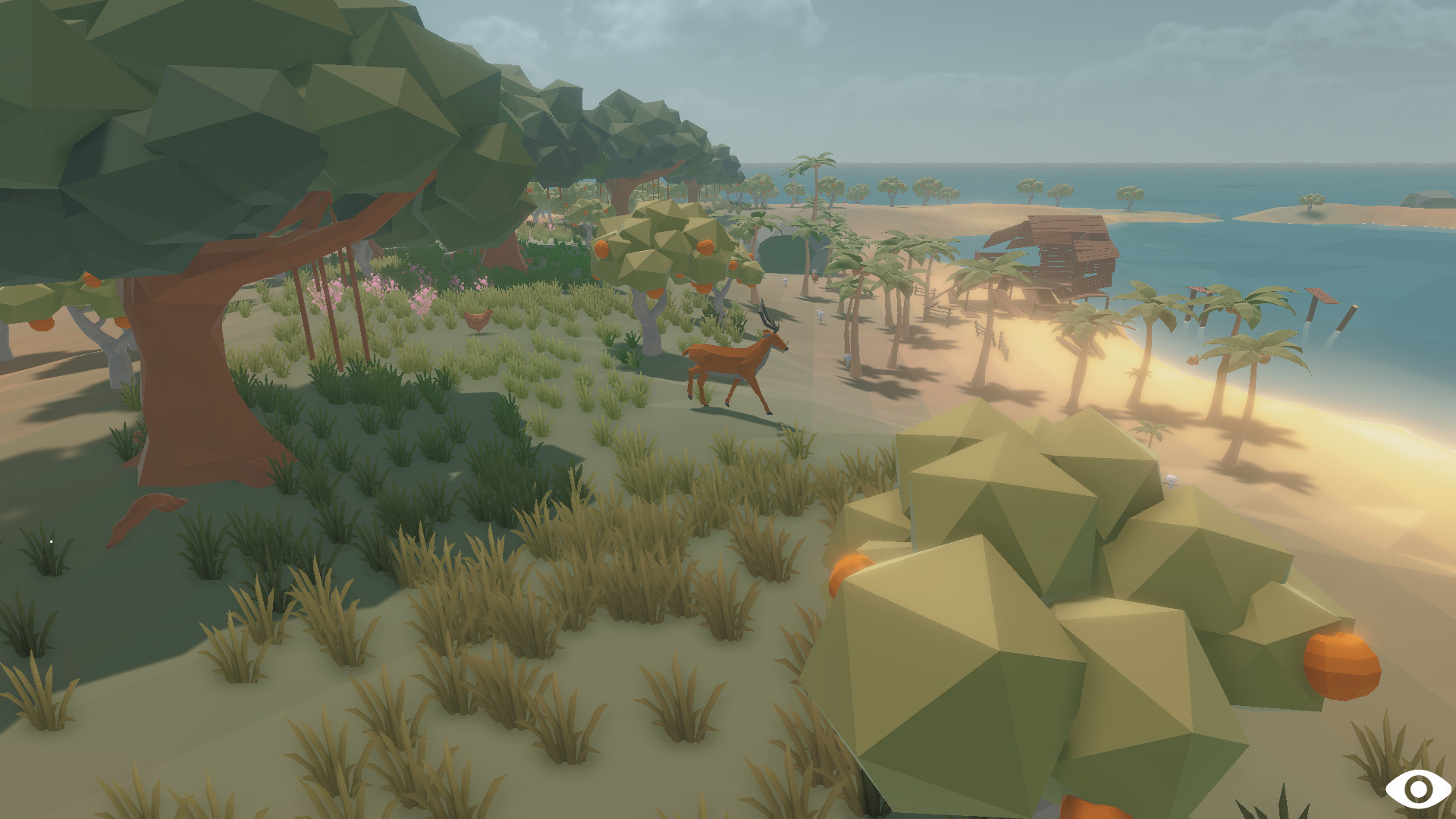 The Island Story