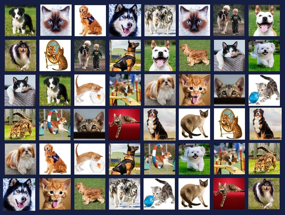 Memory Lost-Pairs - Animals