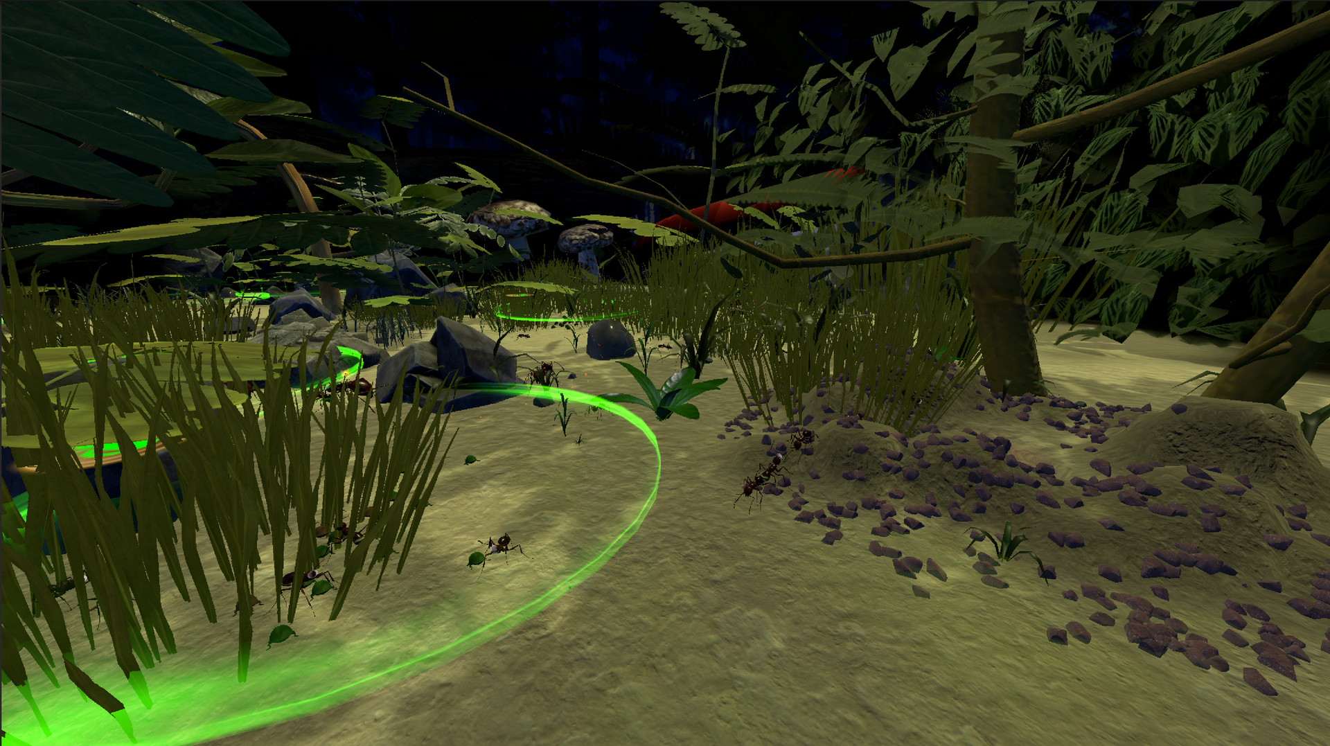 AntQueen 3D