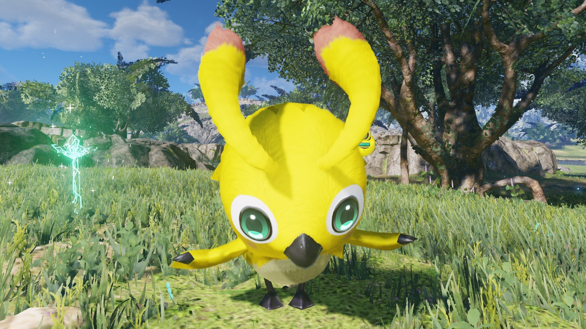 Phantasy Star Online 2 New Genesis - Beginners! Rappy Pack