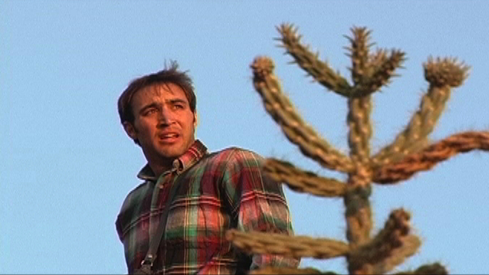 Lost in New Mexico
