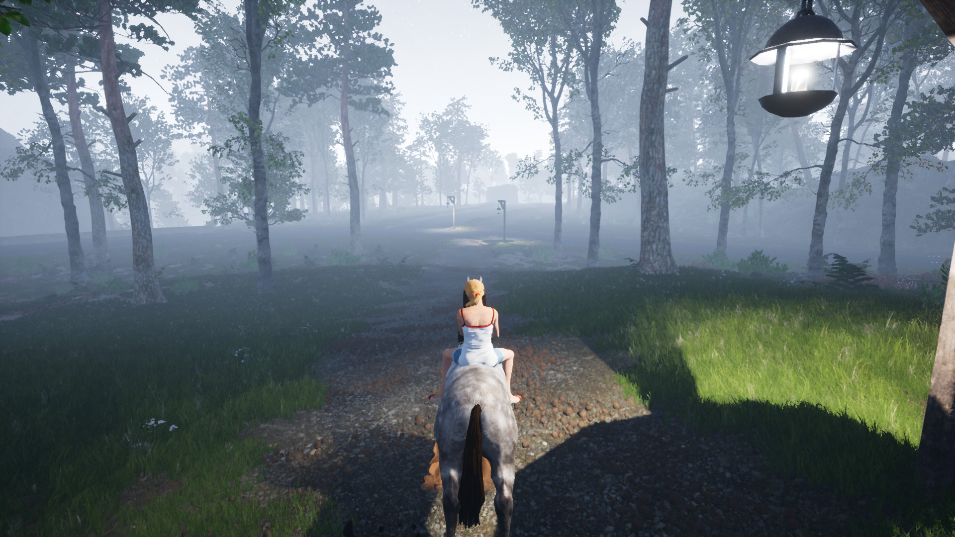 Horse Riding Deluxe