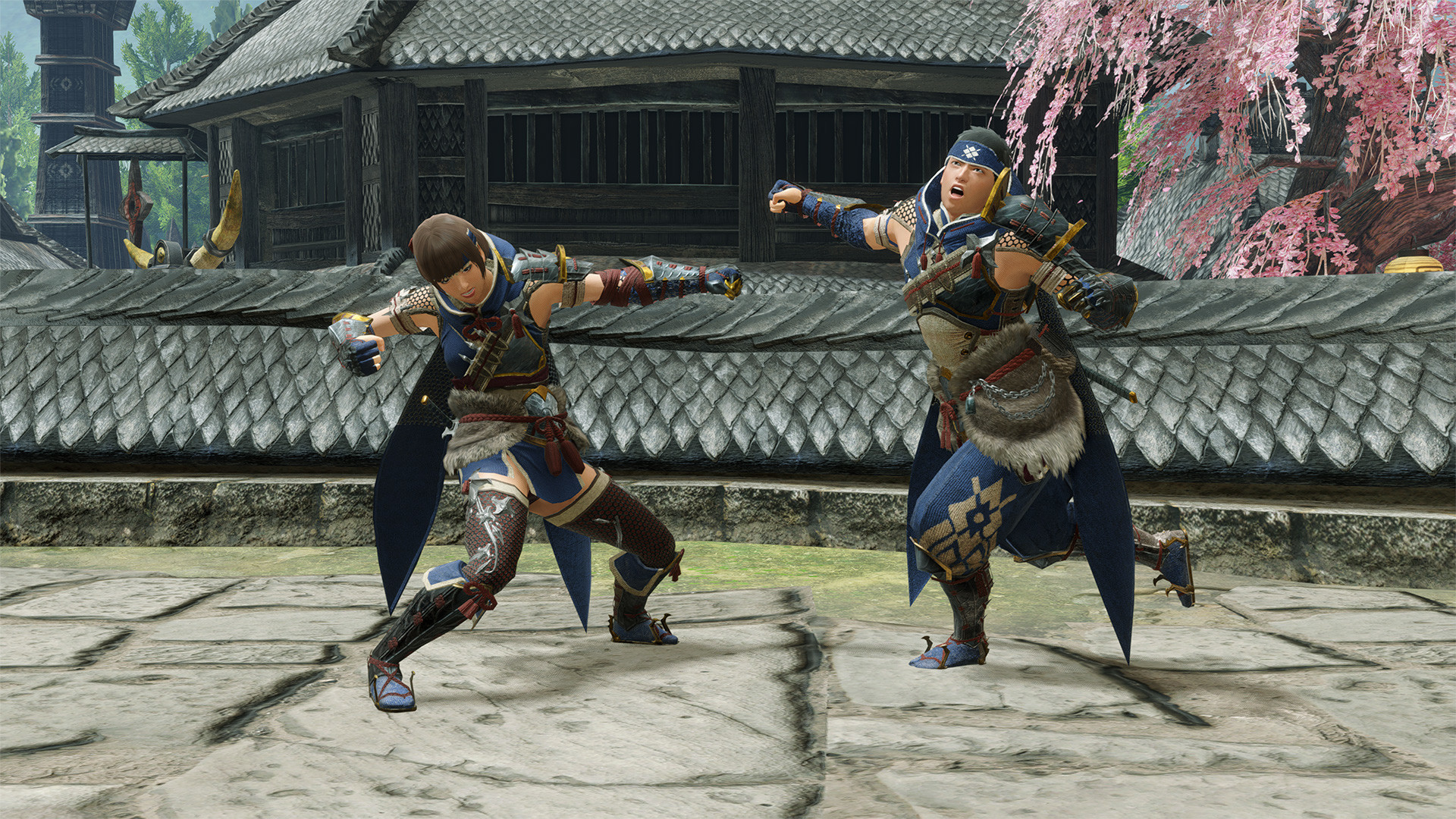 MONSTER HUNTER RISE - 
