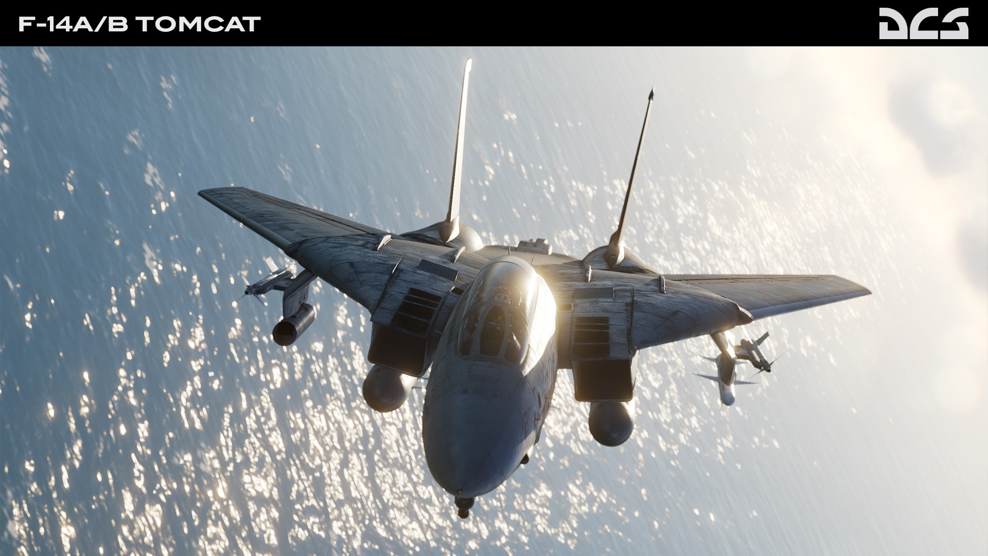 DCS: F-14A/B Tomcat