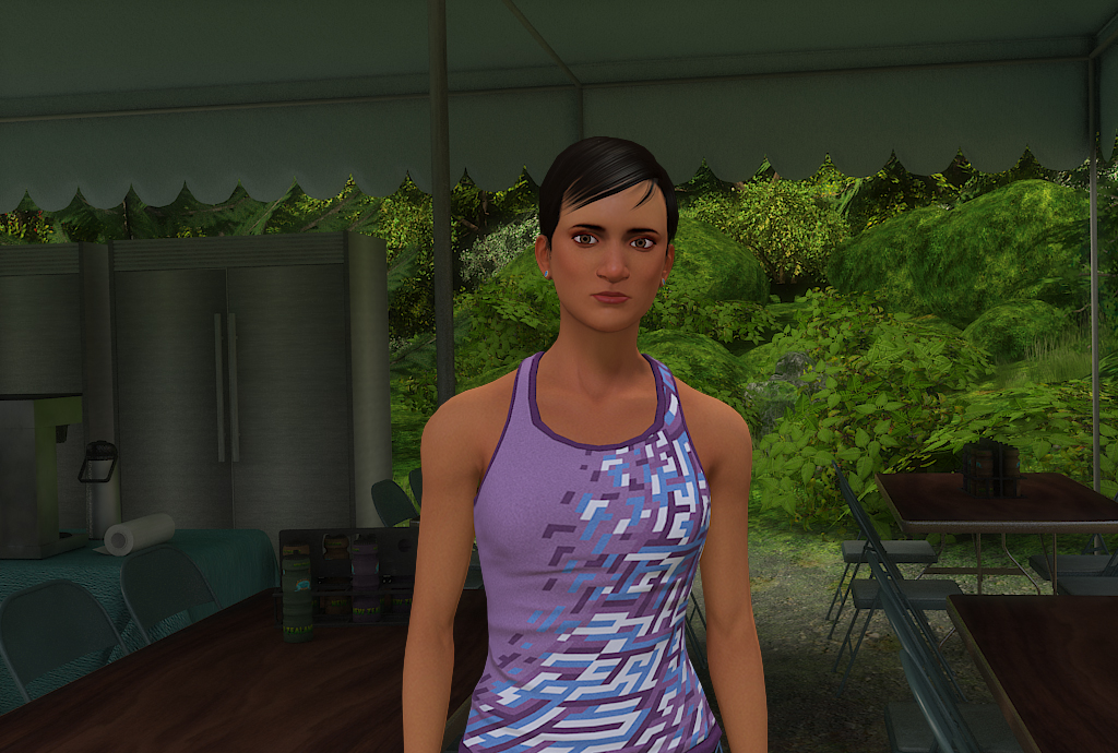 Nancy Drew®: The Shattered Medallion