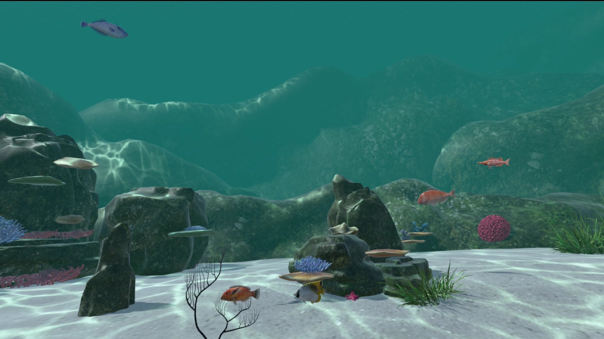 Real Fishing VR