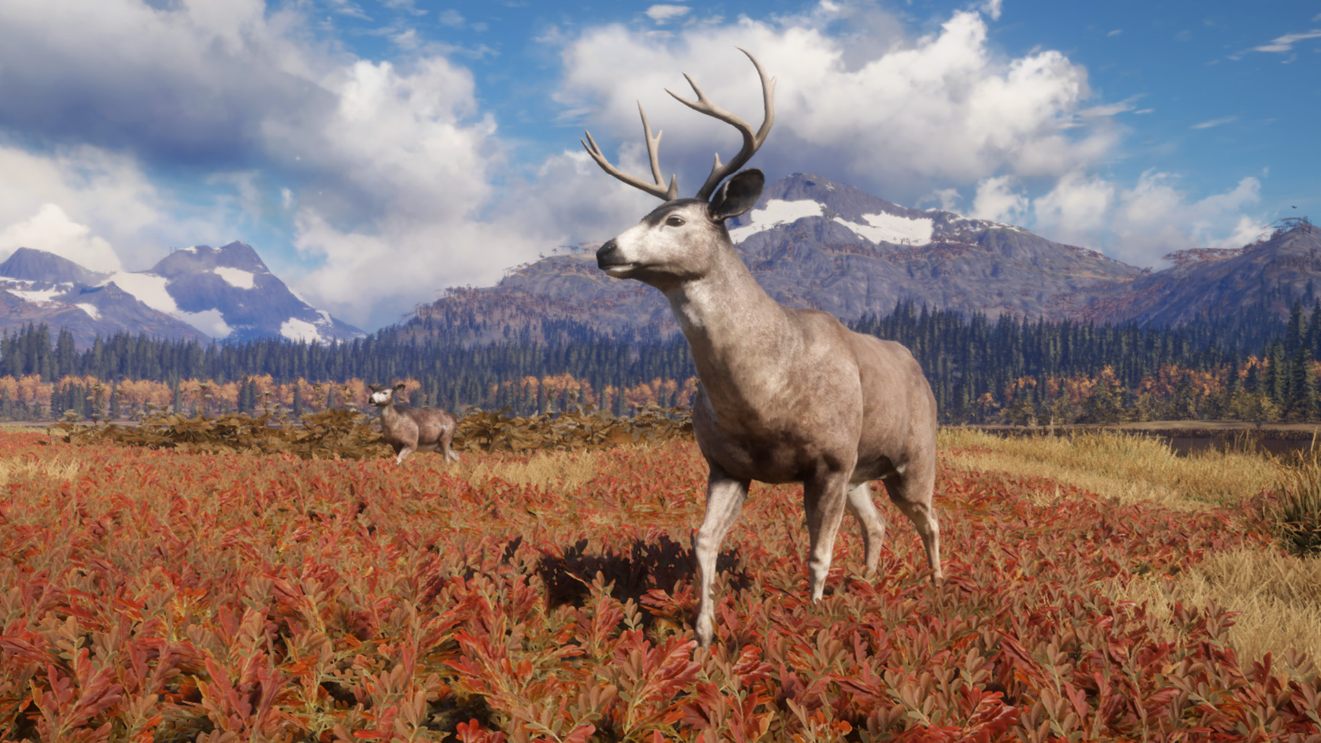 theHunter: Call of the Wild™ - TruRACS