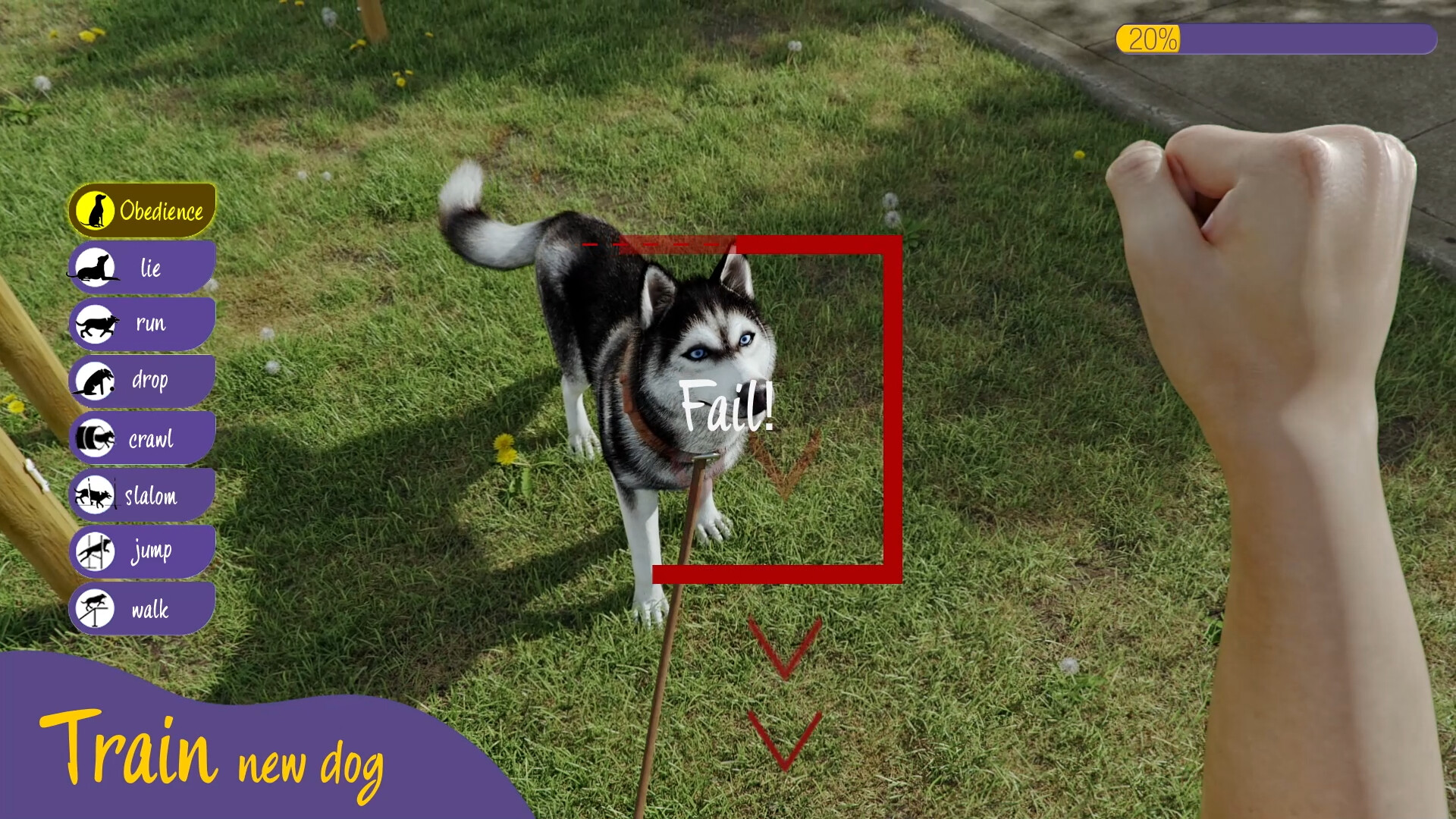 Animal Trainer Simulator