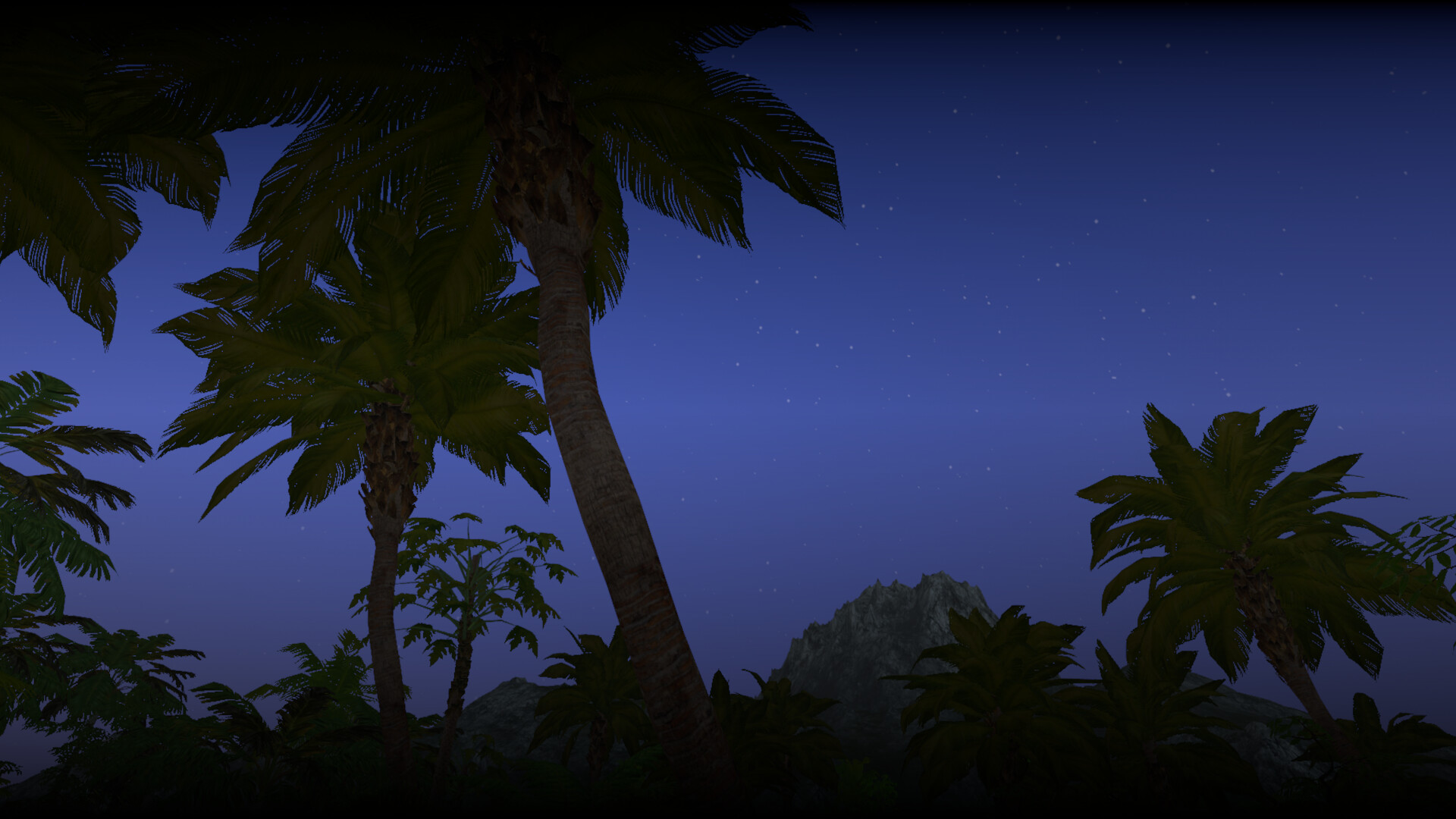 Coastline Survival