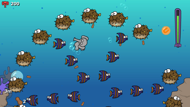 Diving Trunks