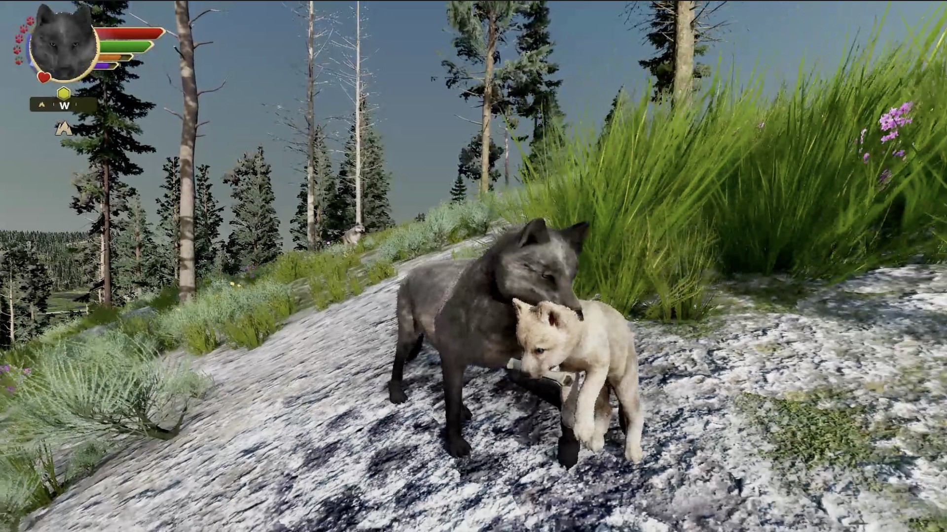 WolfQuest: Anniversary Edition
