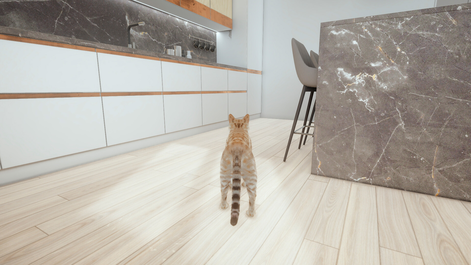 CATS GAME: stray cat, pet kitty, dog simulation adventure