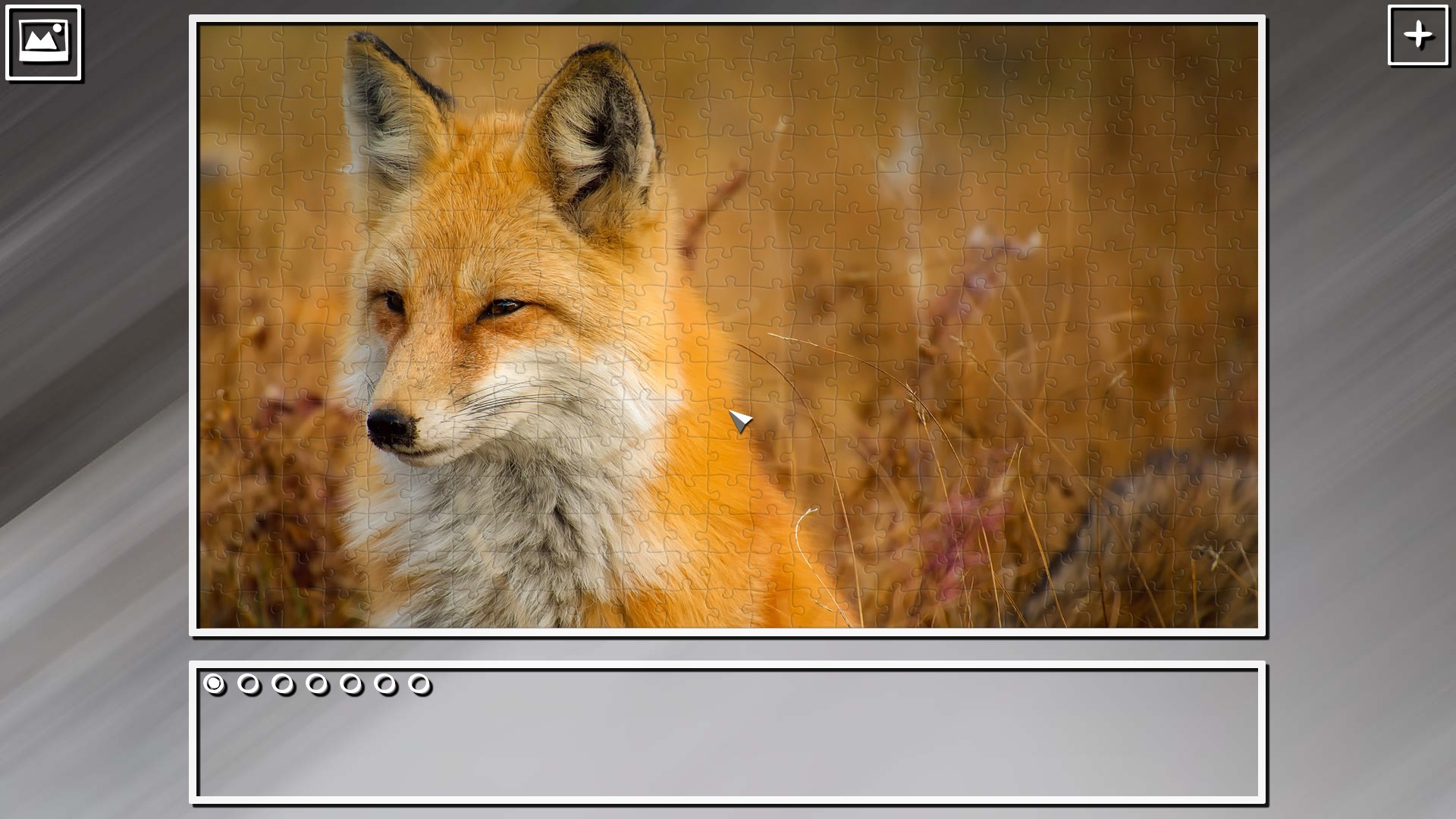 Super Jigsaw Puzzle: Generations - Random Animals Puzzles